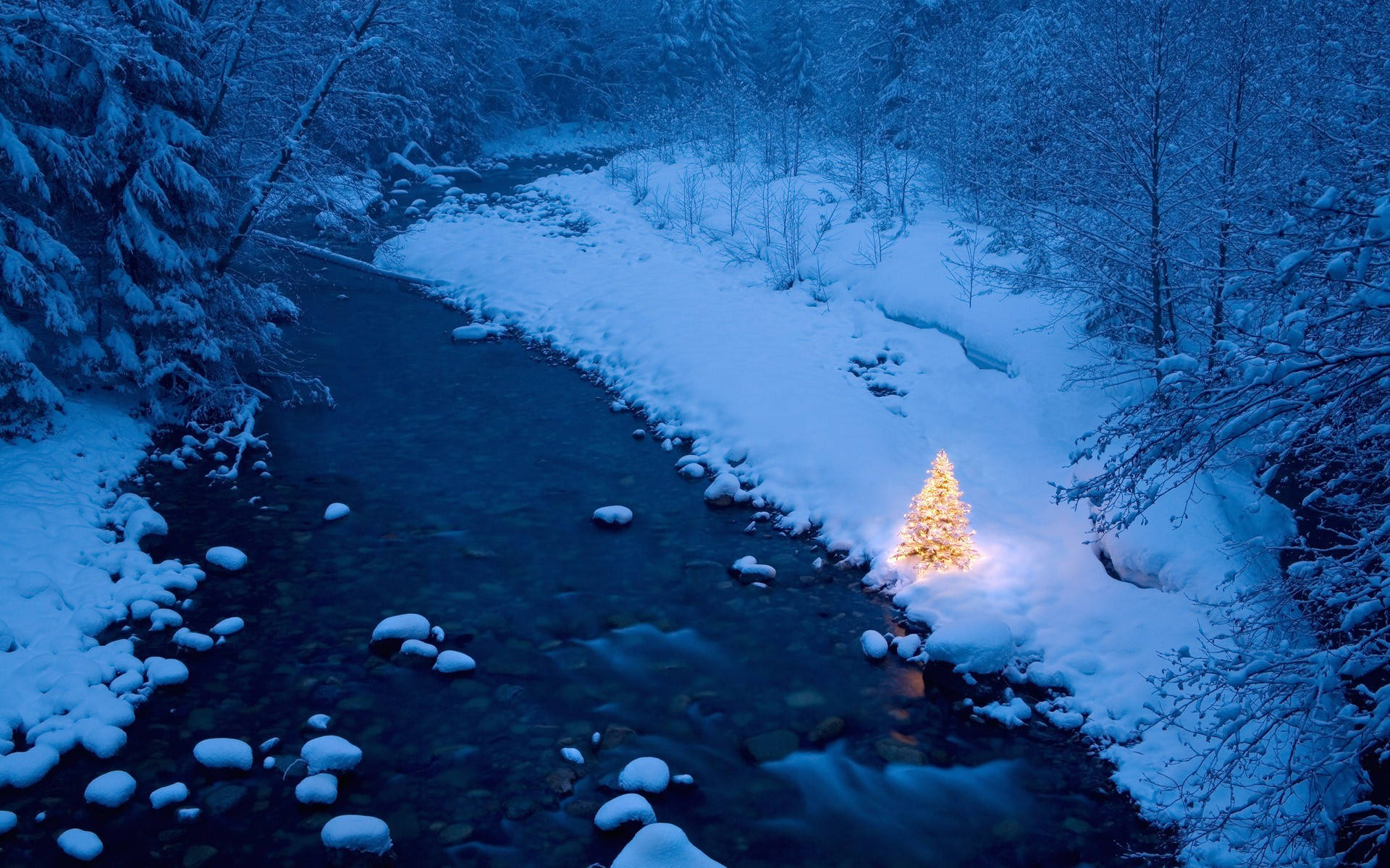 Christmas Forest, glowing Christmas tree, snowy river, Full HD Desktop Wallpaper