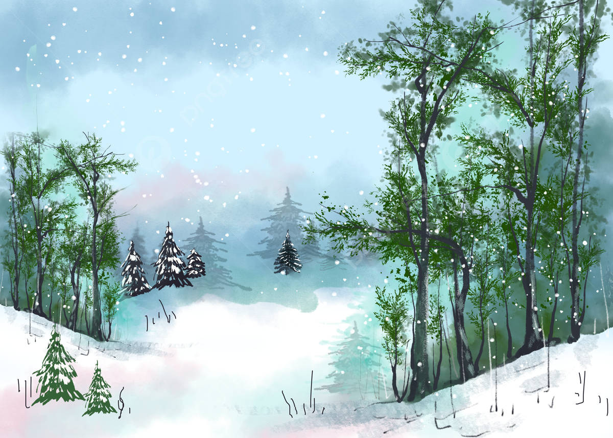 Christmas Forest, winter scene, trees, SD Desktop Wallpaper