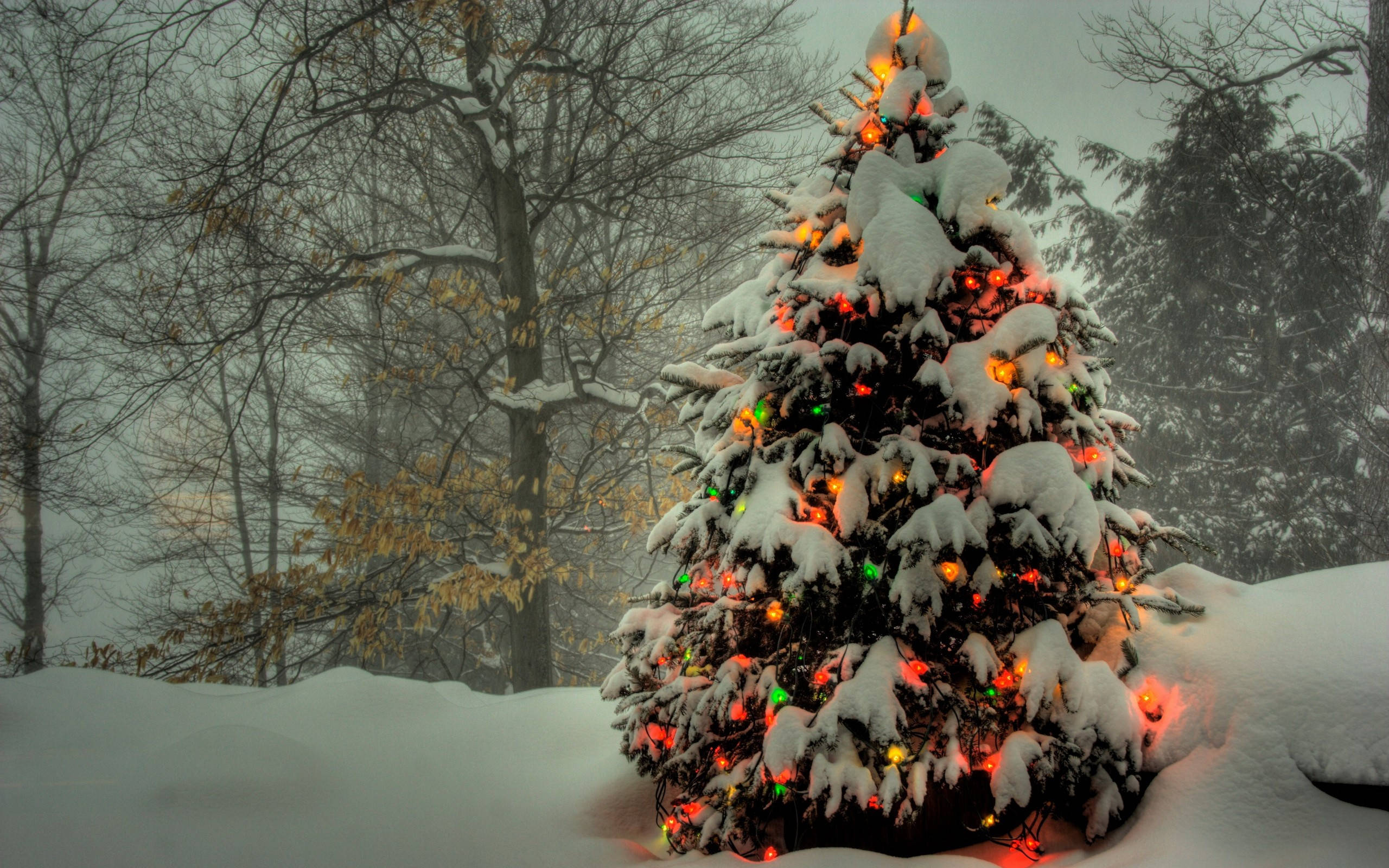 Christmas Forest, snow-covered evergreens, glowing red green and yellow lights, 2K Desktop Wallpaper