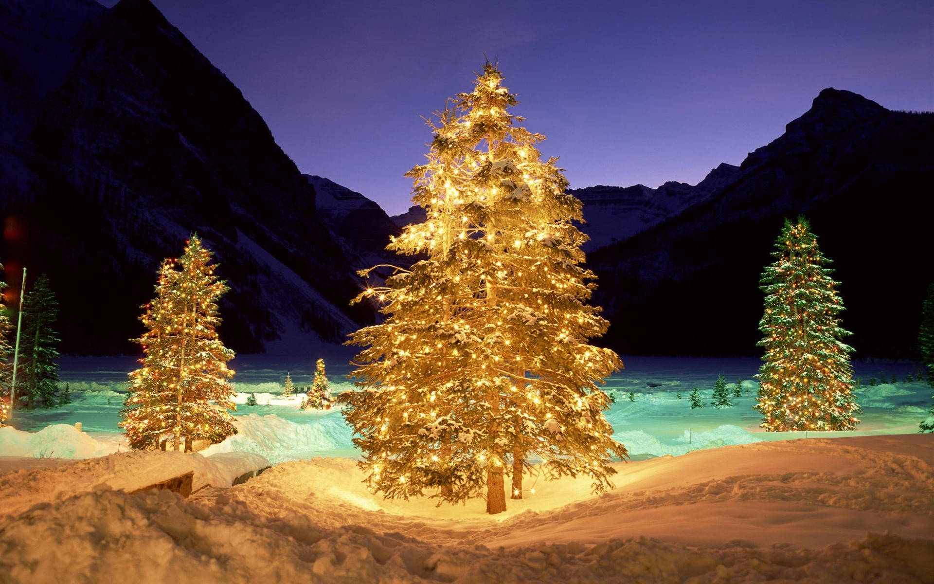 Christmas Forest, glowing yellow trees, golden lights, Full HD Desktop Wallpaper