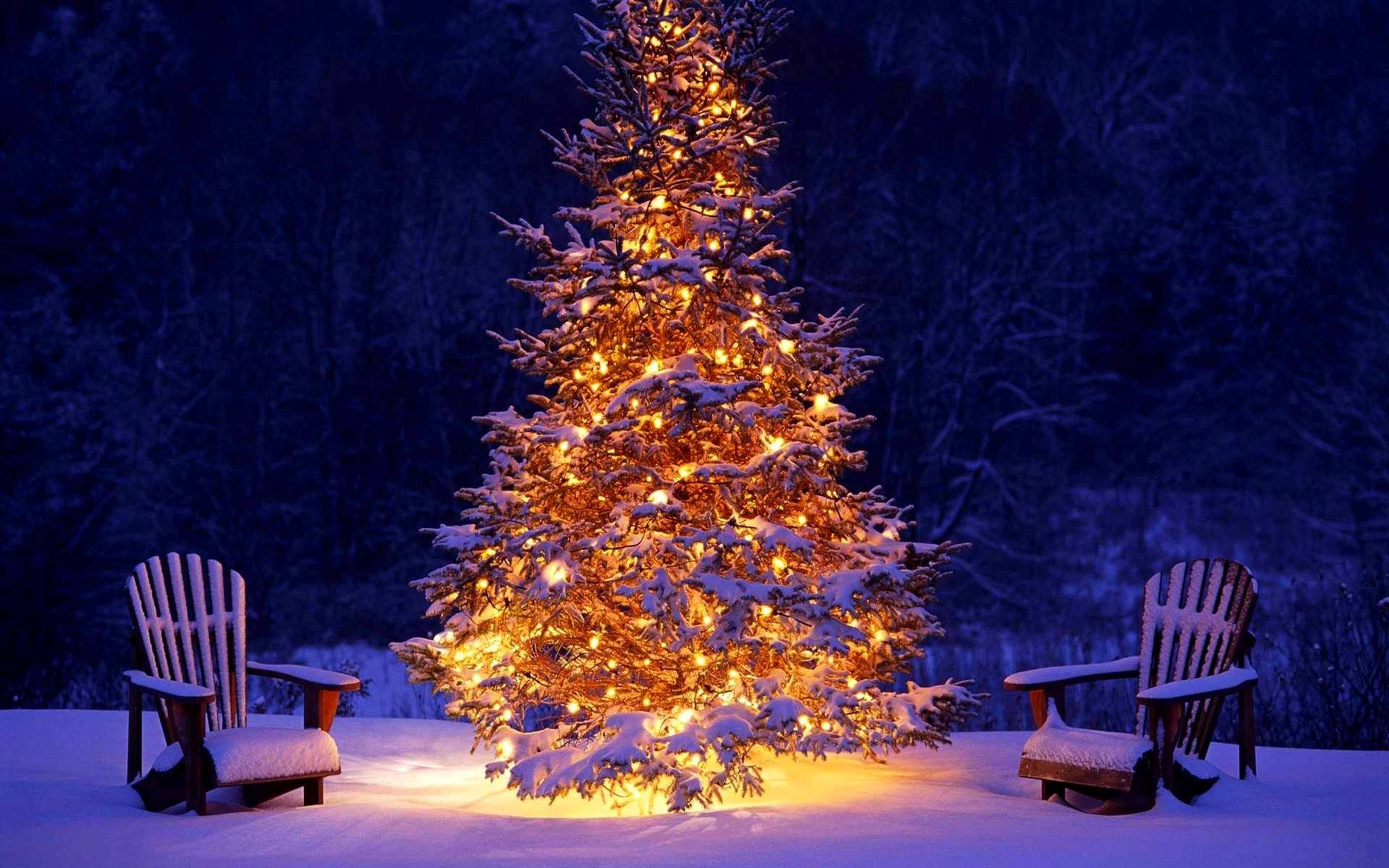 Christmas Forest, snow-covered Christmas tree, warm lights, 2K Desktop Wallpaper