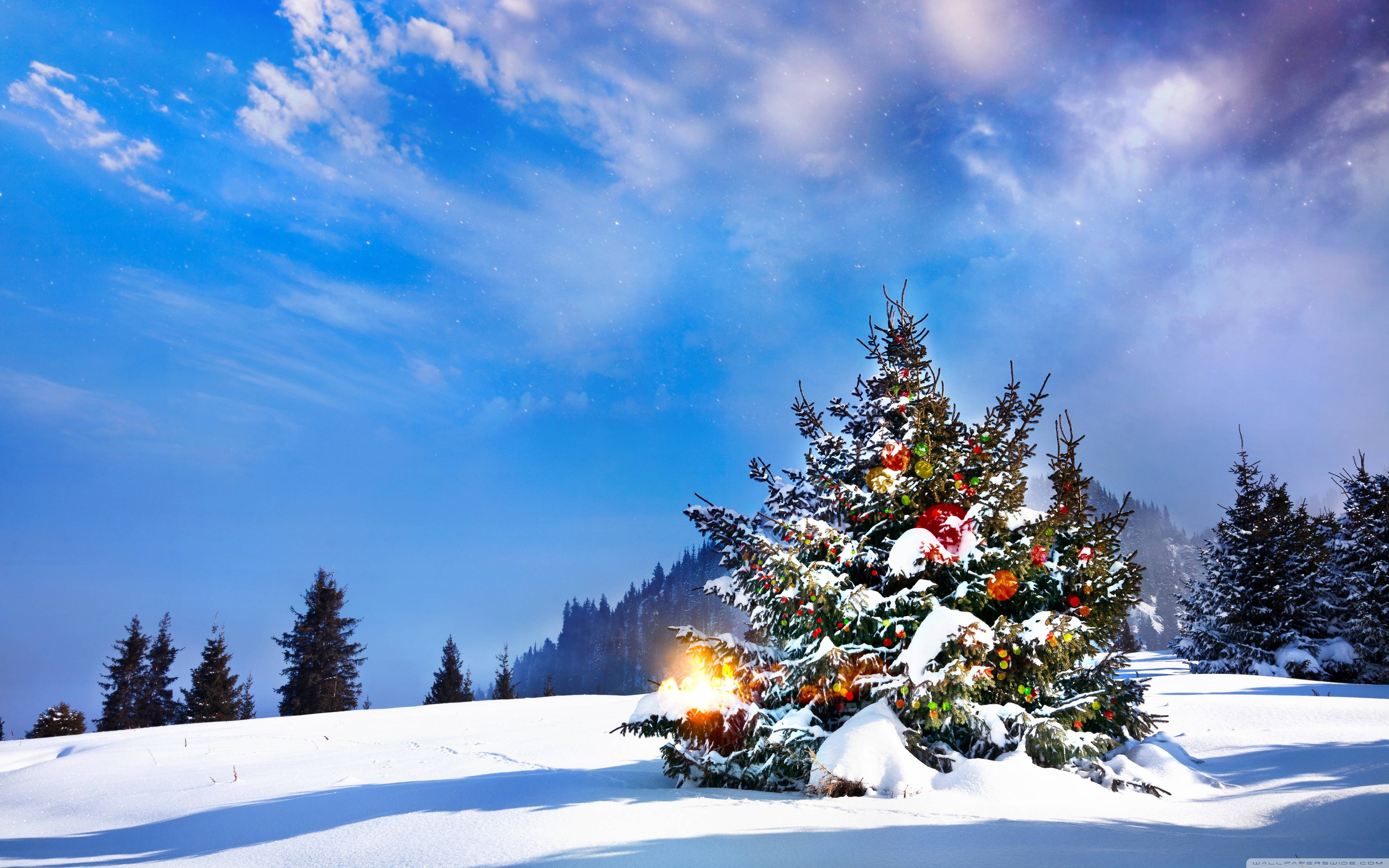 Christmas Forest, snow-covered Christmas tree, colorful ornaments, 4K Desktop Wallpaper