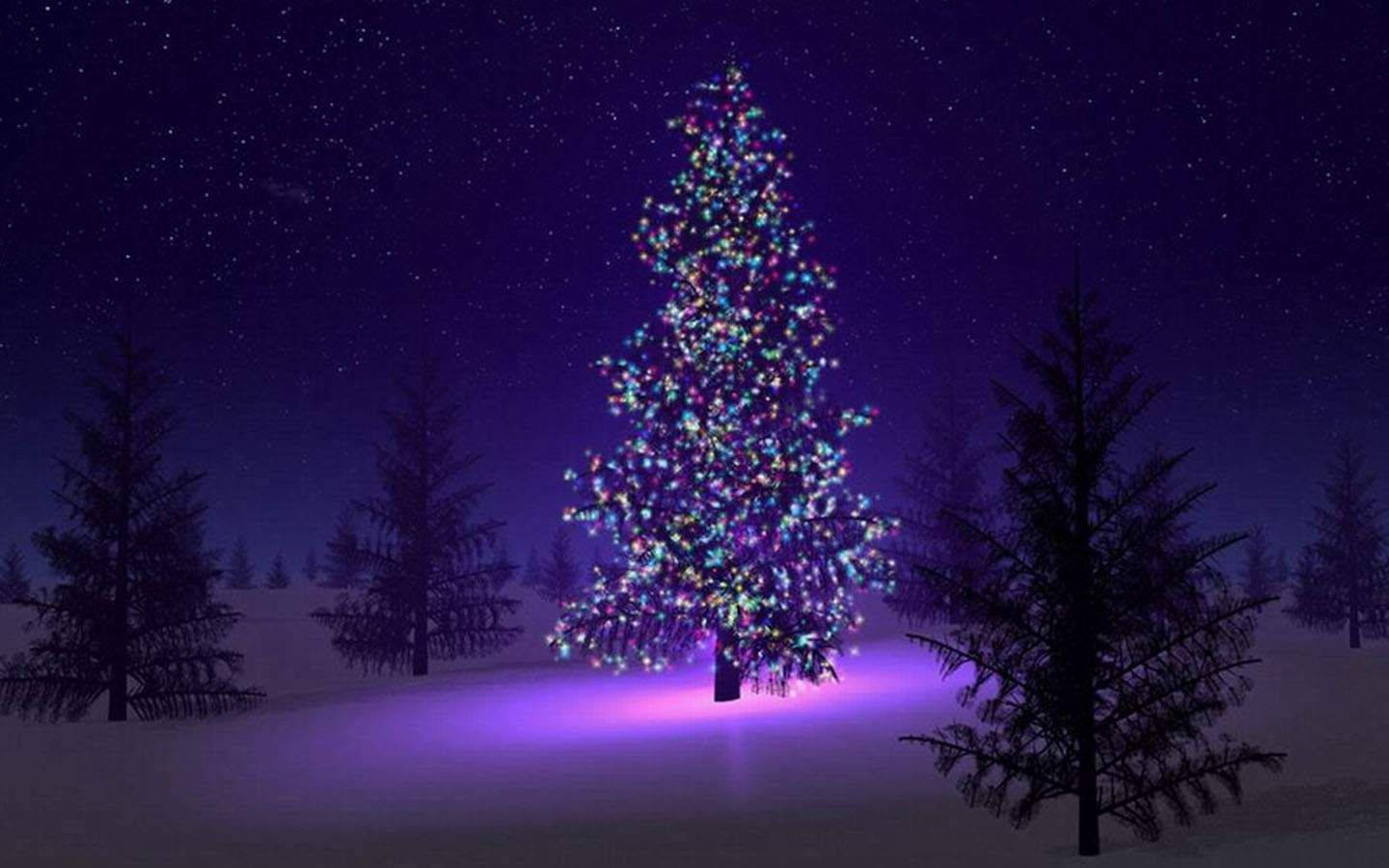 Christmas Forest, snow-covered pine tree, colorful lights, HD Desktop Wallpaper