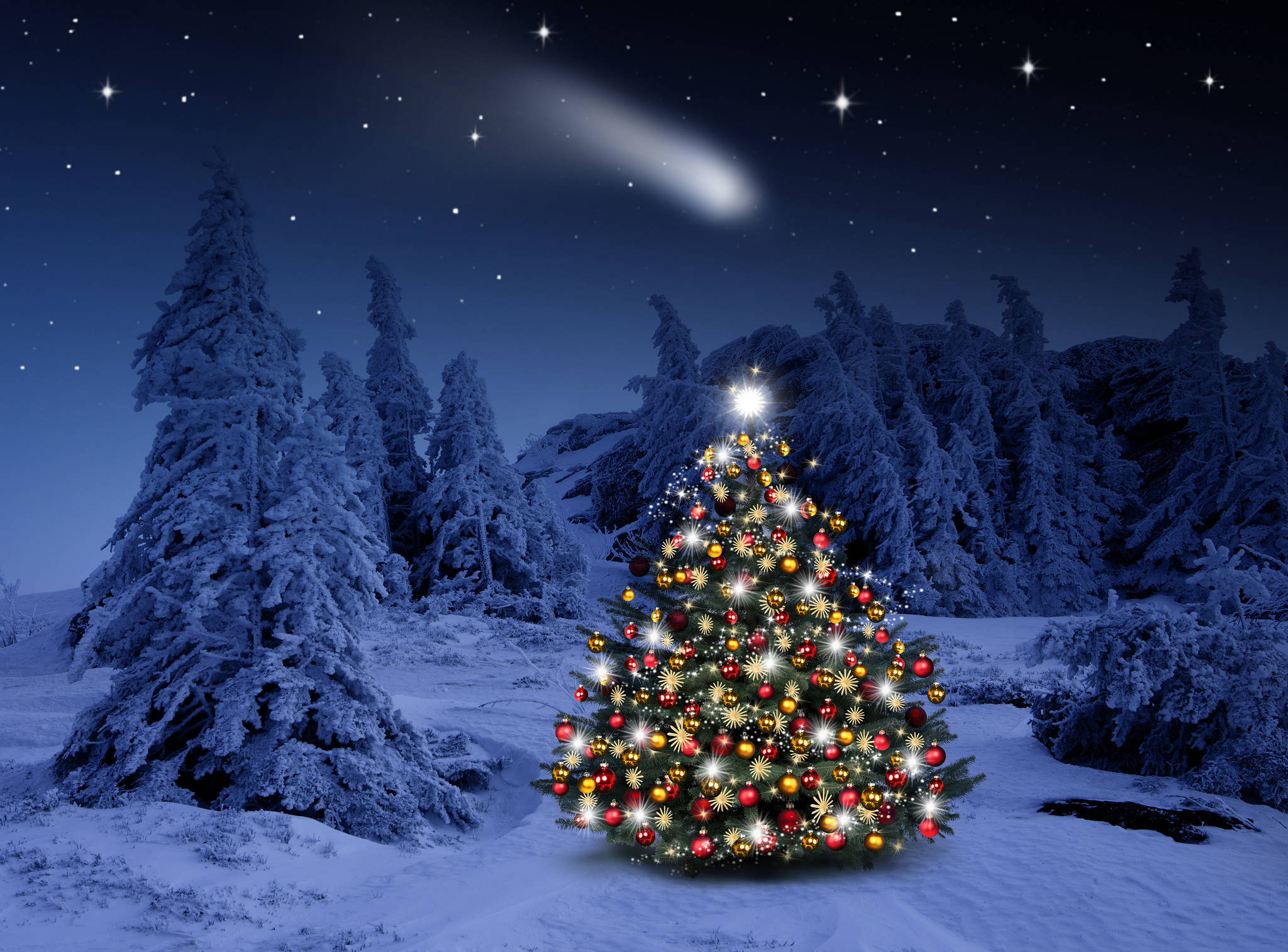 Christmas Forest, comet, snowy forest, Full HD Desktop Wallpaper