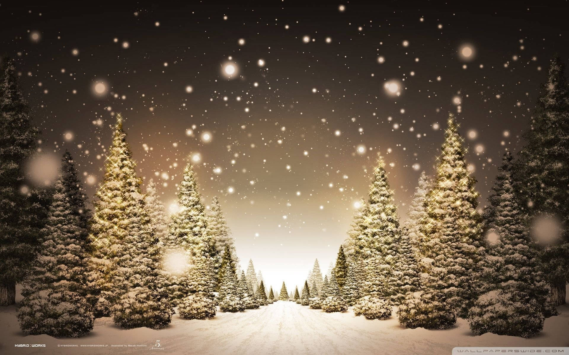 Christmas Forest, evergreen trees, starry night sky, Full HD Desktop Wallpaper