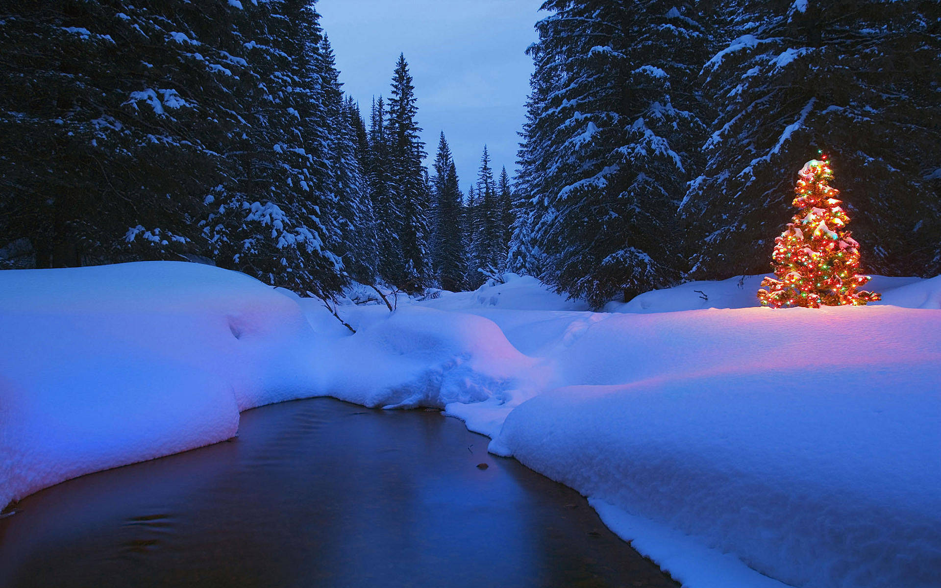 Christmas Forest, snowy river, glowing Christmas tree, Full HD Desktop Wallpaper