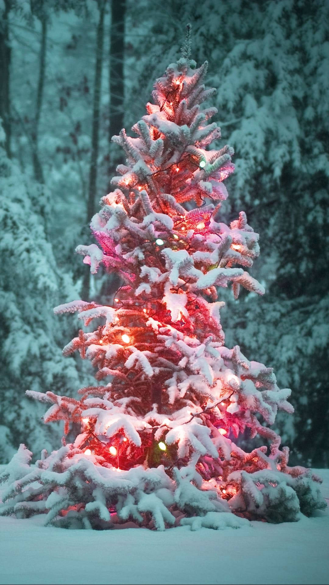 Christmas Forest, snow-covered pine tree, red lights, Full HD Phone Wallpaper