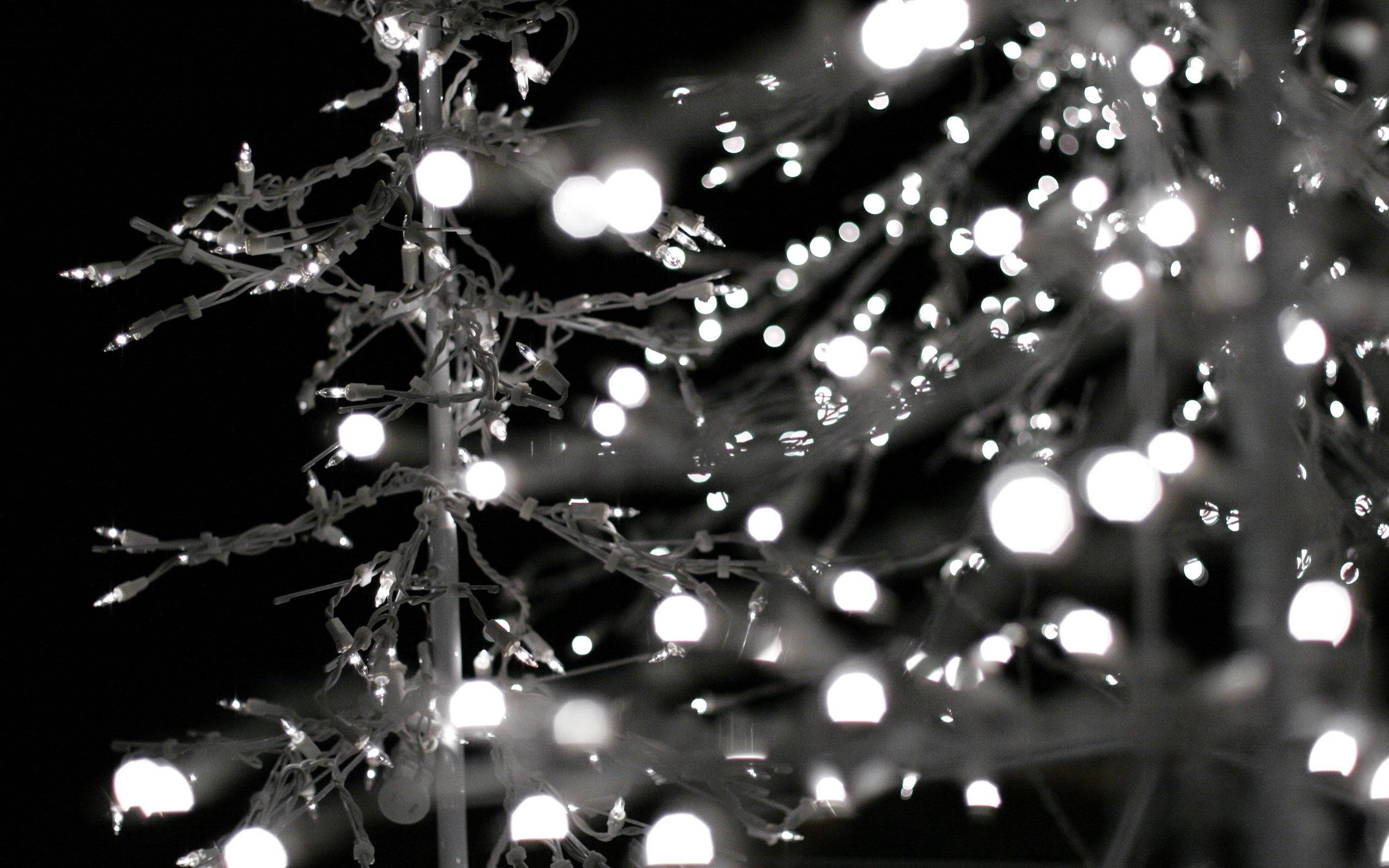 black christmas, white lights, glowing string lights, 2K Desktop Wallpaper