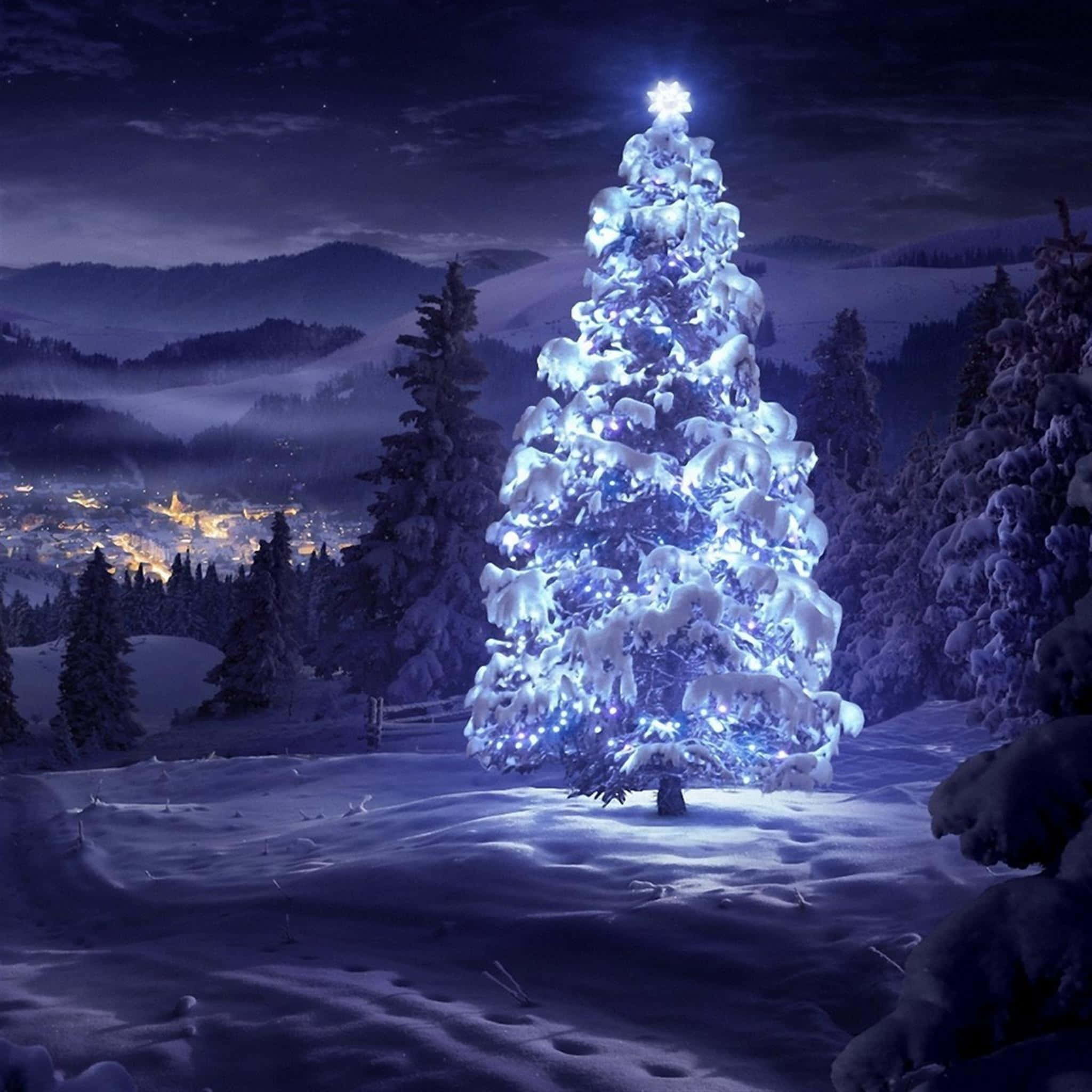 Blue Christmas Tree, snow-covered Christmas tree, blue lights, Full HD Desktop Wallpaper