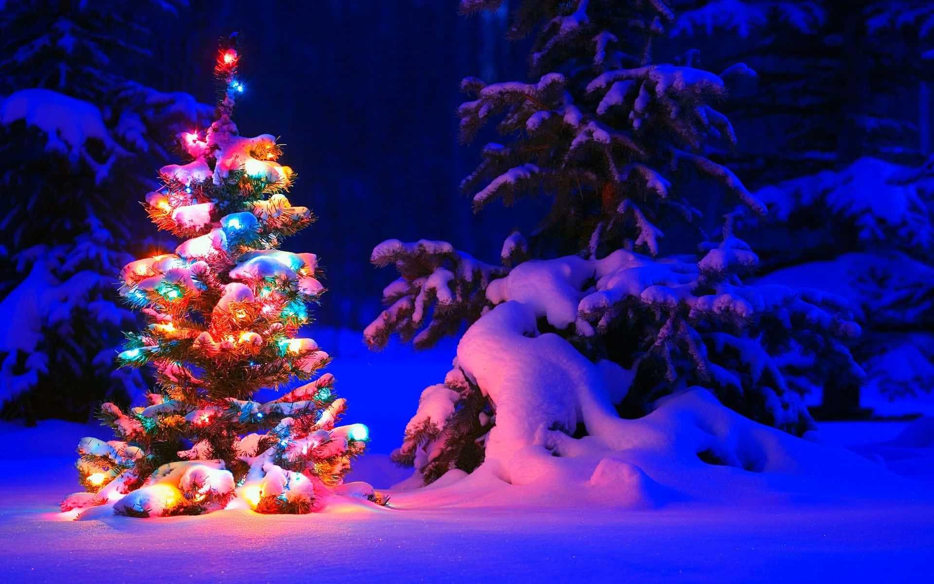 Christmas tree, colorful lights, snowy forest, Full HD Desktop Wallpaper