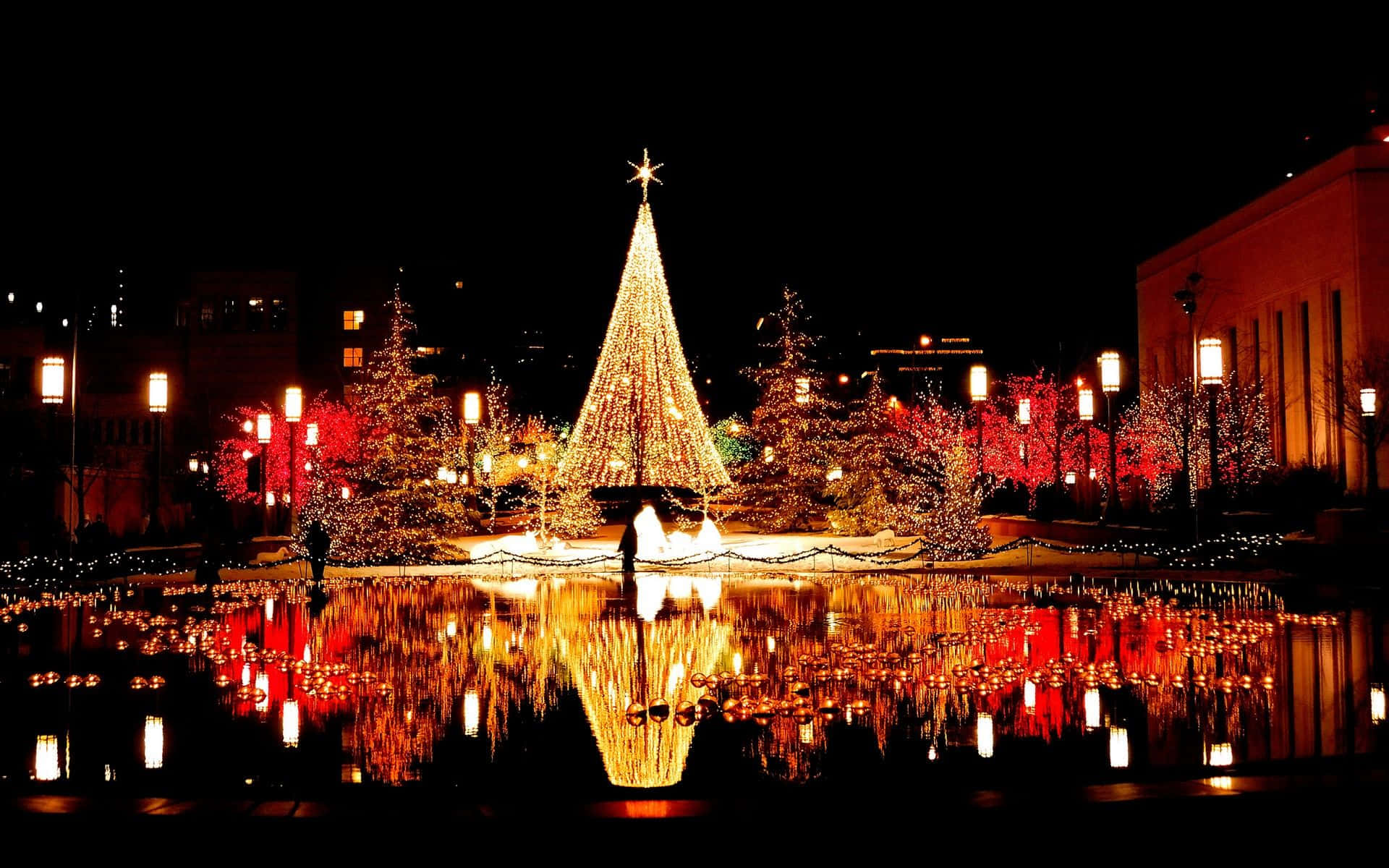 Christmas tree, gold, tranquil pond, Full HD Desktop Wallpaper