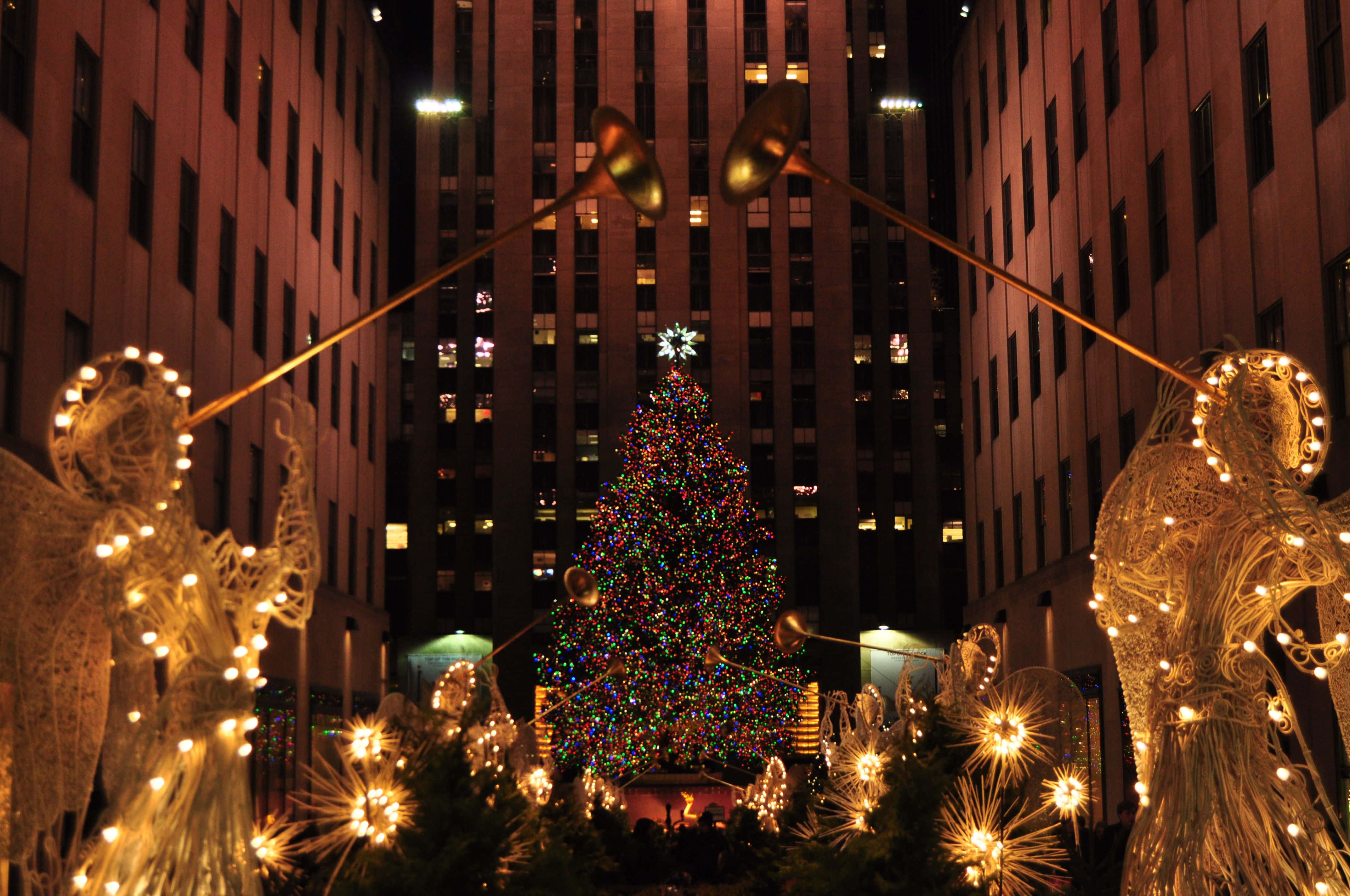 Christmas tree, towering buildings, night, 4K Desktop Wallpaper