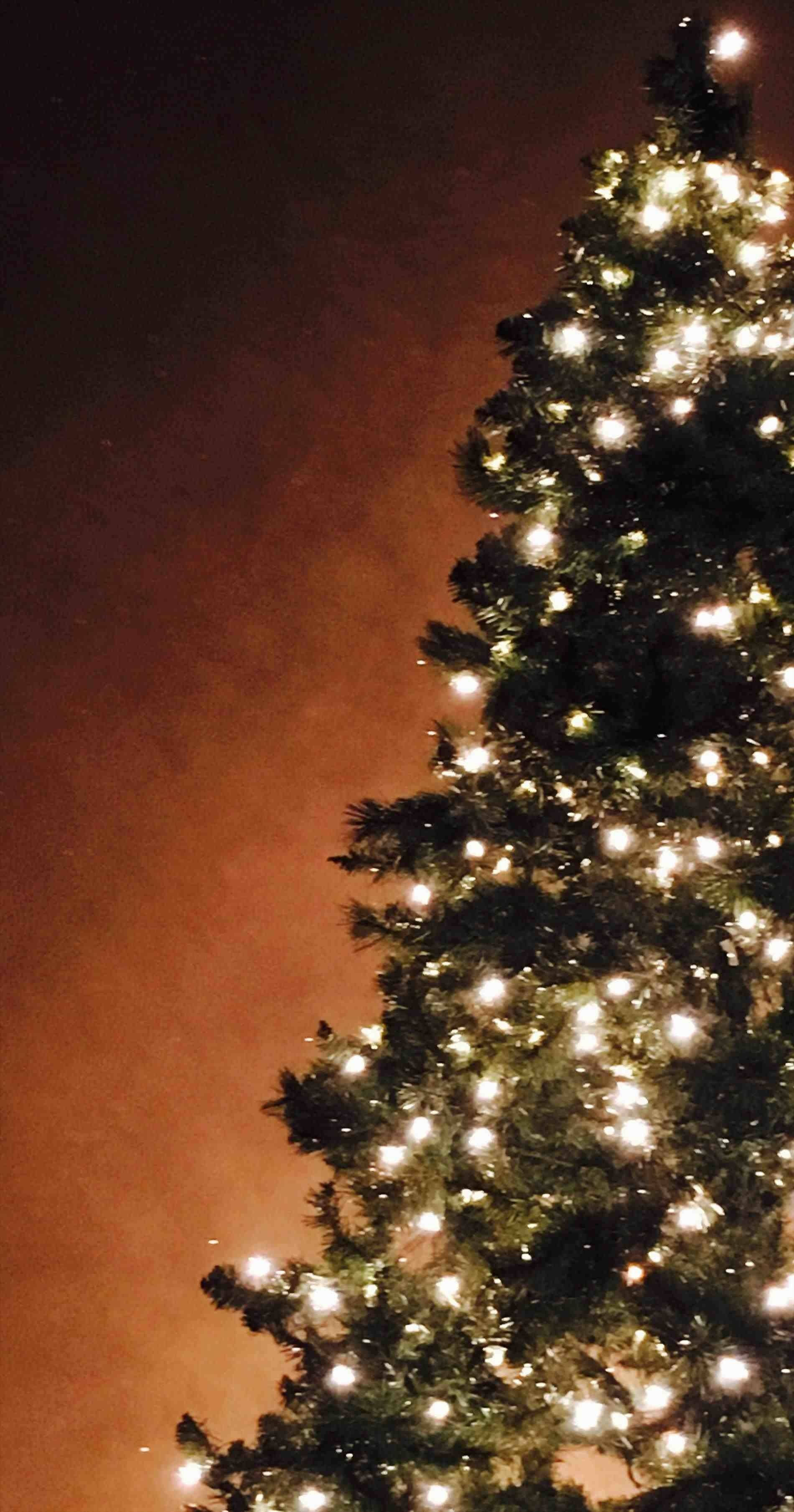 Luminous Pine Christmas Tree, iPhone, glowing white lights, 2K Phone Wallpaper