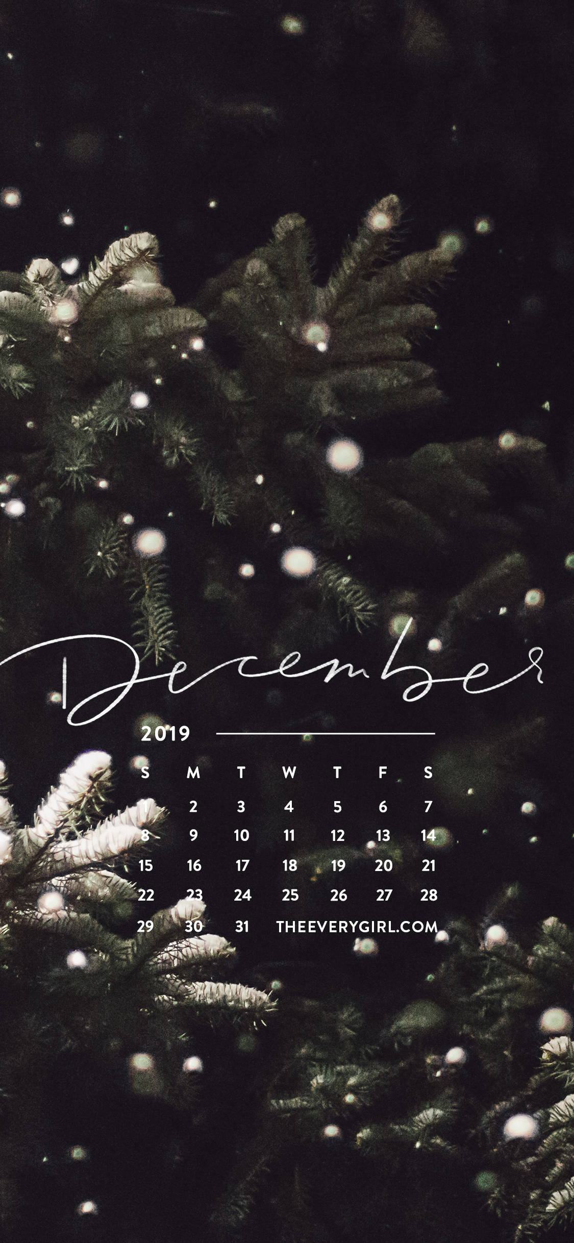 December 2019, snow-dusted pine branches, elegant script, Full HD Phone Wallpaper