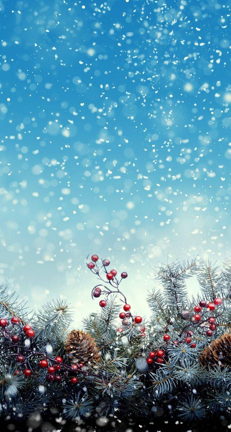 Winter Phone, Christmas Fruits, bright blue sky, HD Phone Wallpaper
