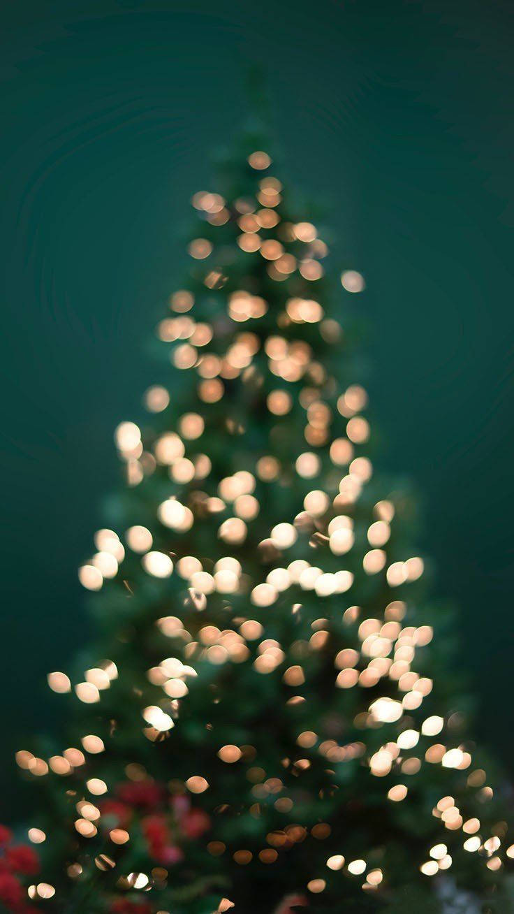Christmas Lights Aesthetic, glowing golden lights, deep teal background, HD Phone Wallpaper