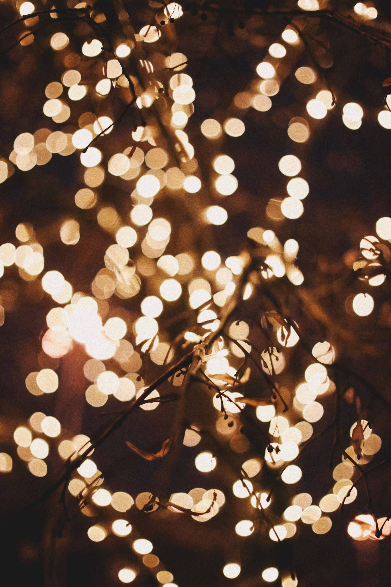 Christmas lights, bokeh lights, bare tree branches, Full HD Phone Wallpaper