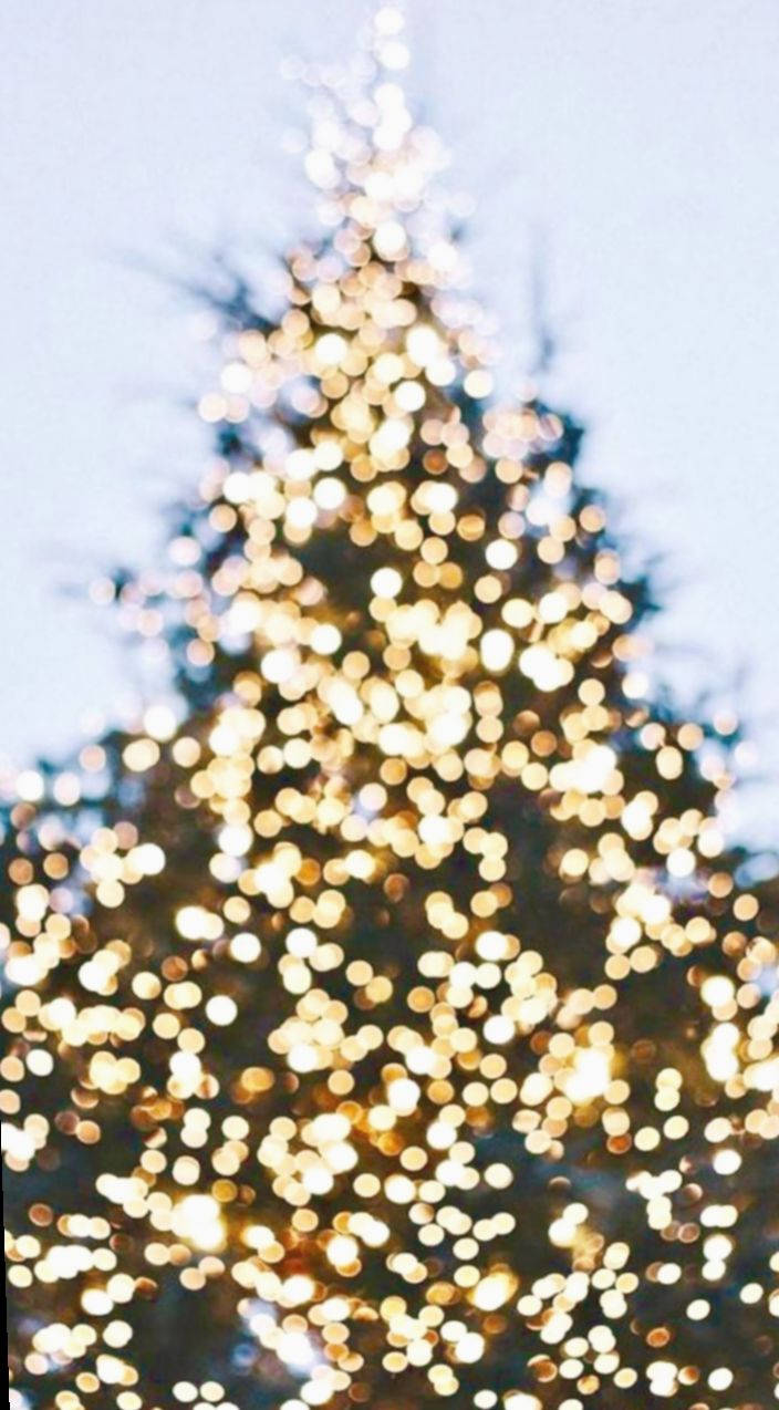 Christmas Lights, glowing golden lights, Christmas tree, SD Phone Wallpaper