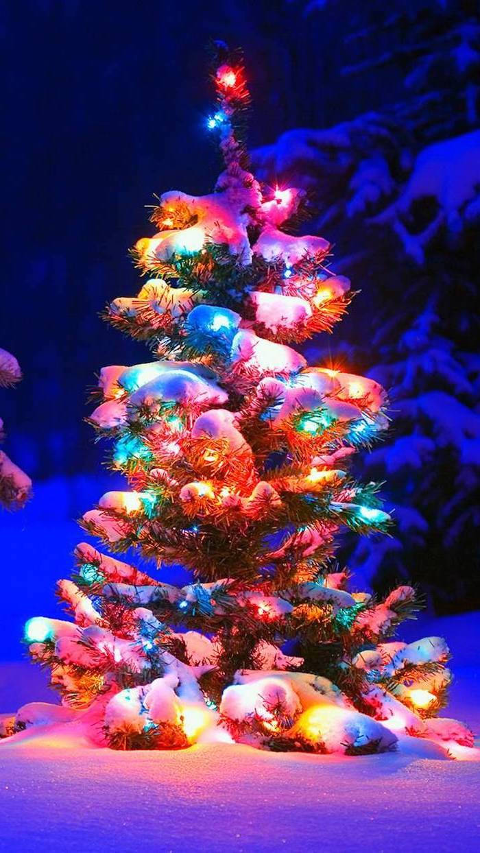Christmas Lights Aesthetic, snow-dusted evergreen tree, vibrant multicolored lights, SD Phone Wallpaper