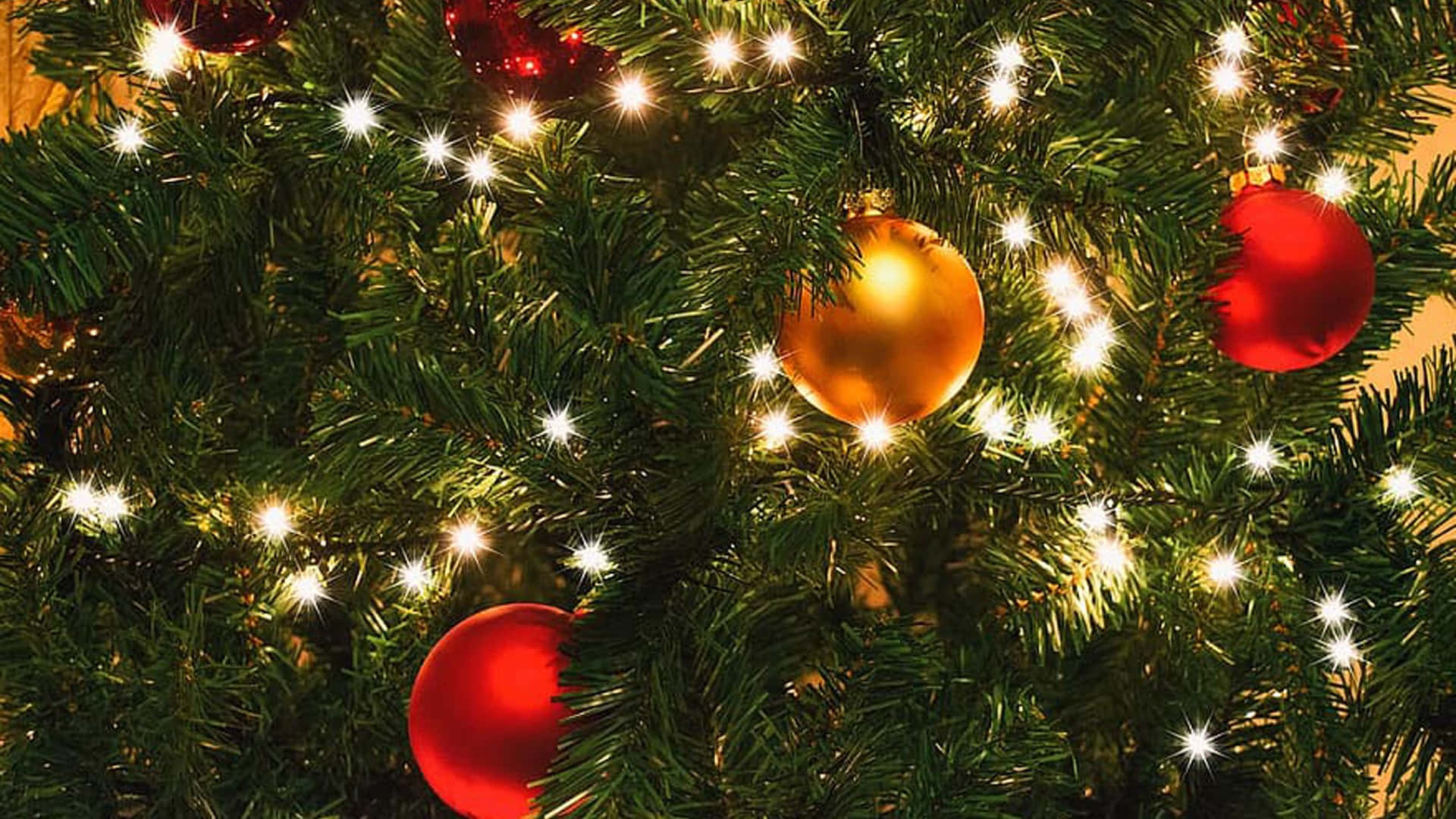 Christmas tree, glowing white lights, shiny red and gold ornaments, Full HD Desktop Wallpaper