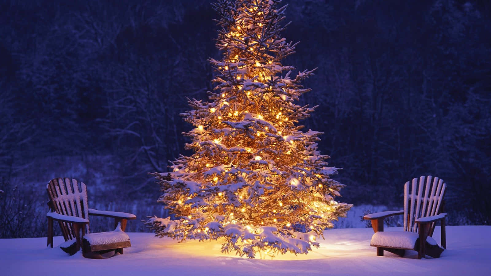 Christmas tree, snow-covered, warm lights, HD Desktop Wallpaper