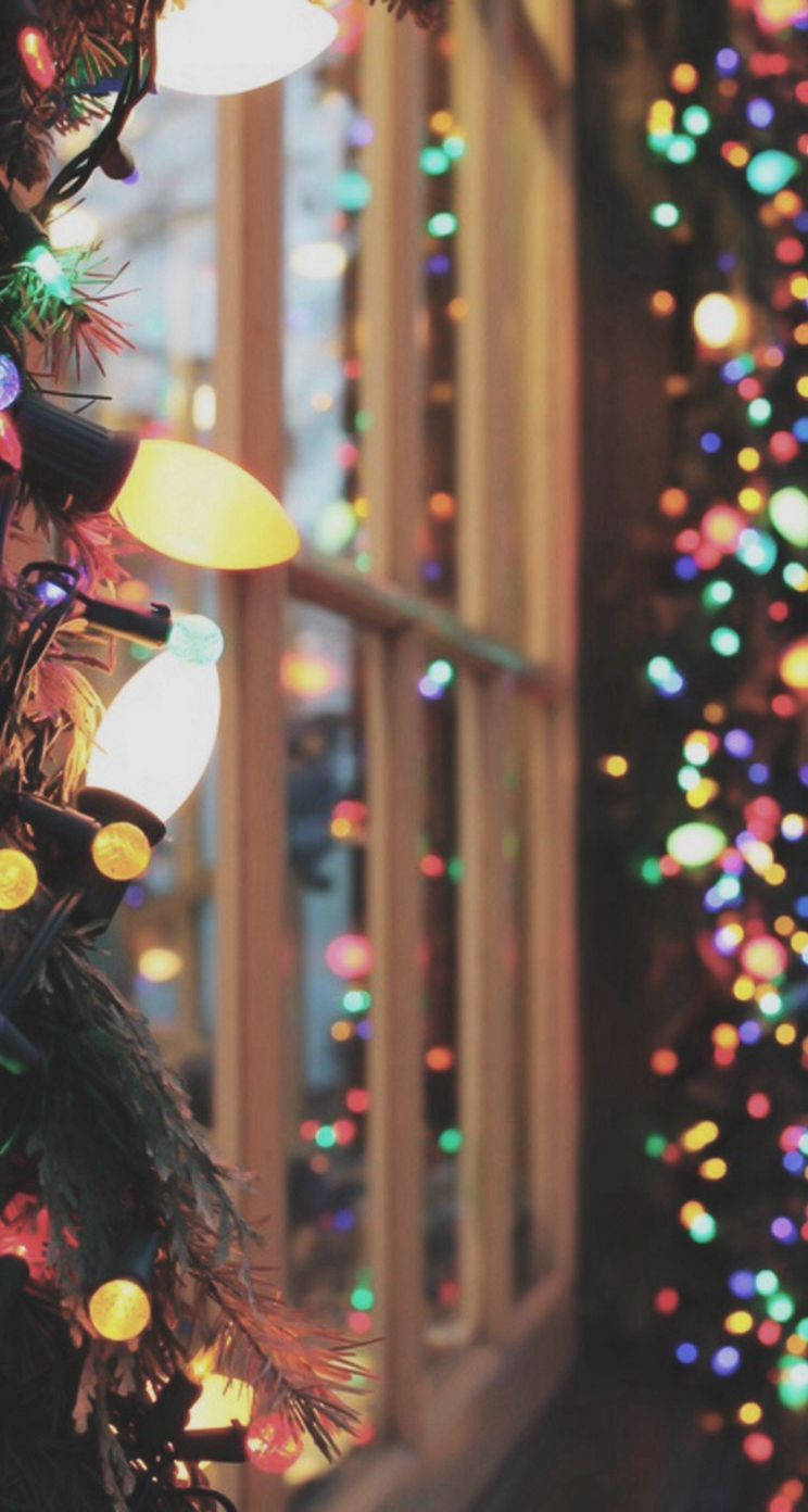 Christmas Lights iPhone, festive display of lights, decorated tree, HD Phone Wallpaper