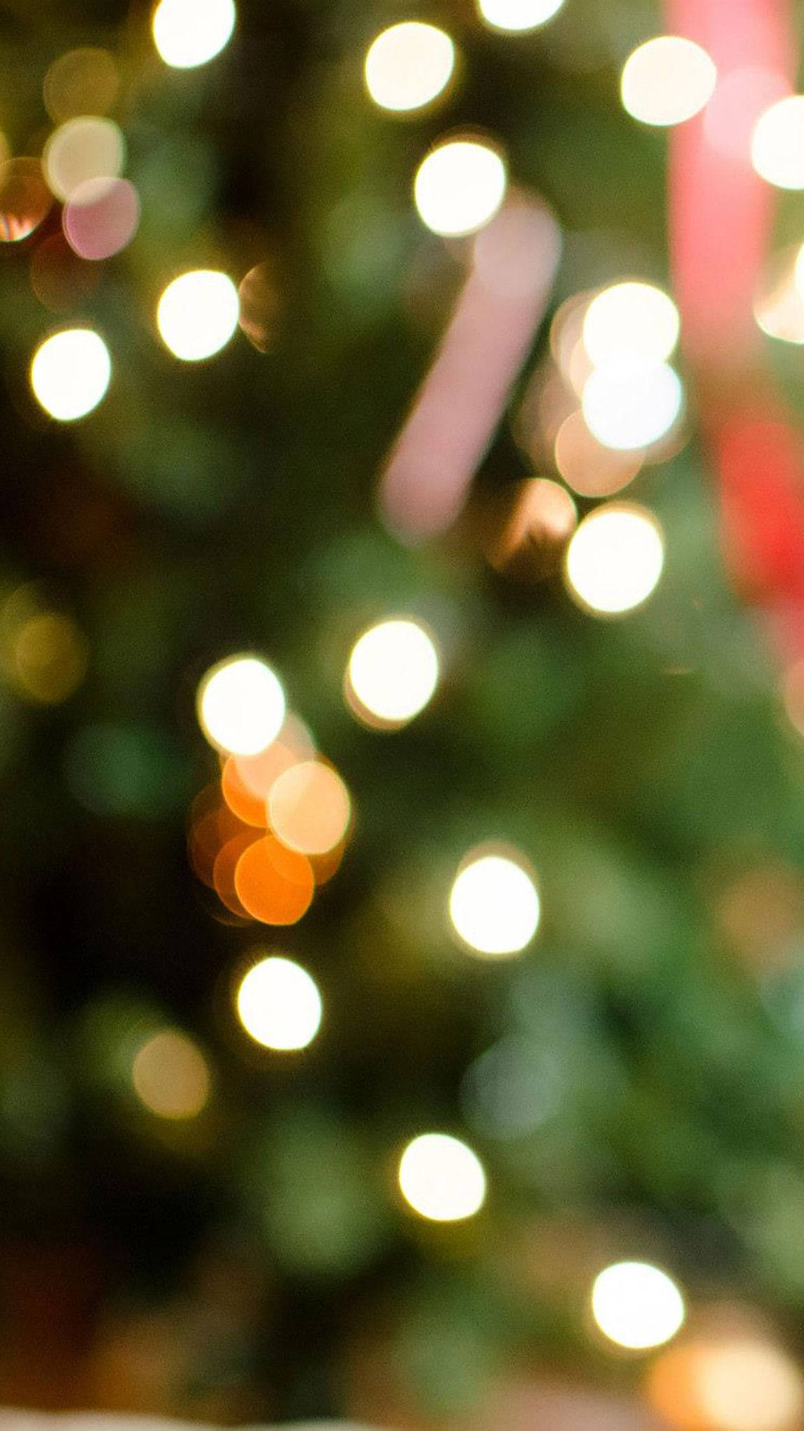Christmas Lights iPhone, bokeh lights, green tree, Full HD Phone Wallpaper