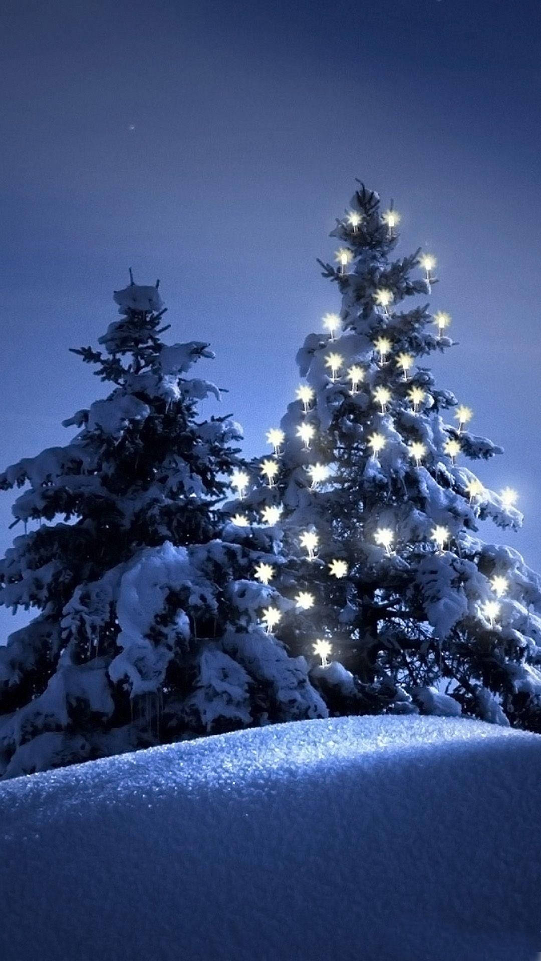 Christmas Lights iPhone, snow-covered pine trees, warm string lights, Full HD Phone Wallpaper