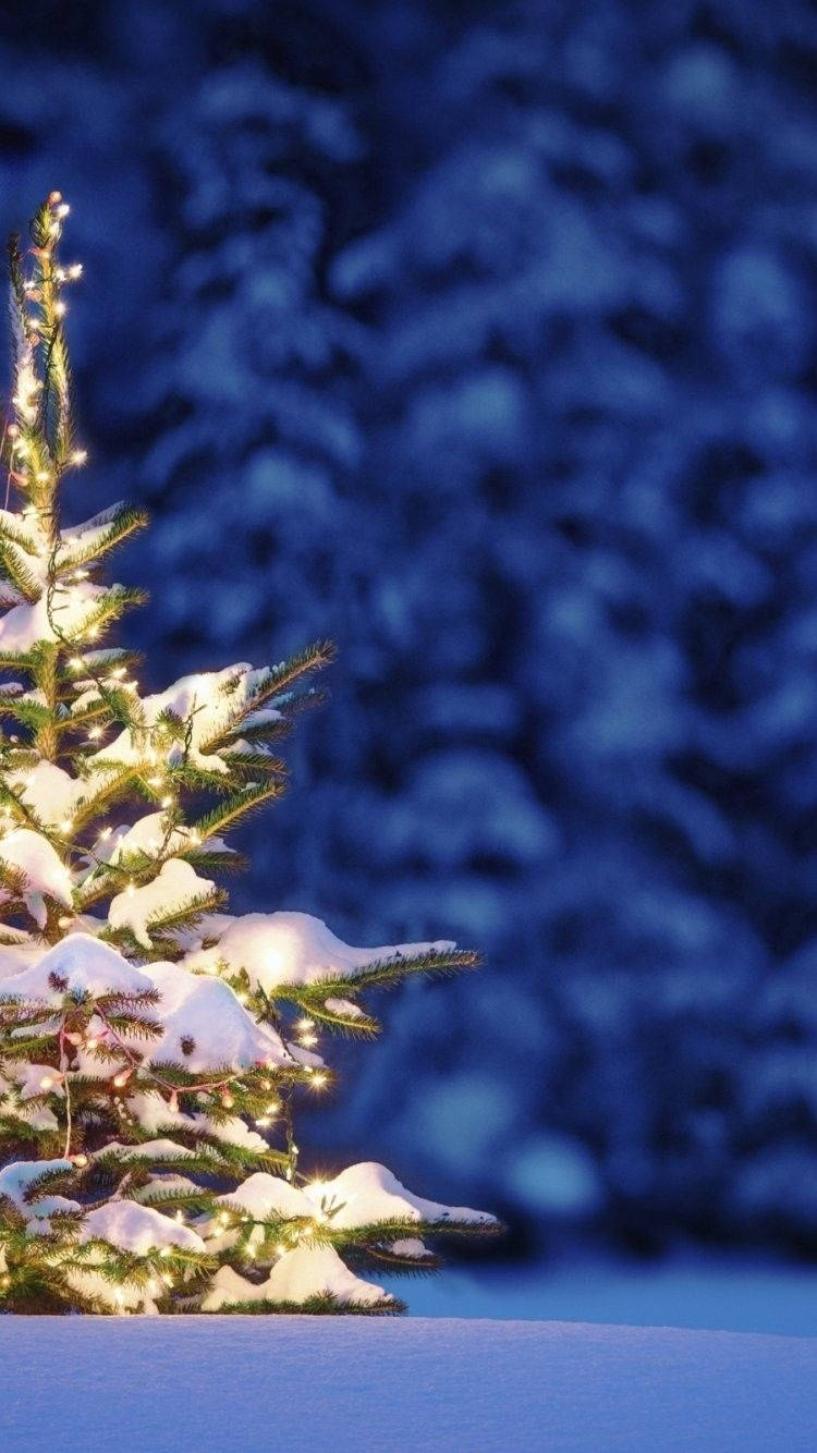 Christmas lights, snow-covered evergreen tree, glowing fairy lights, HD Phone Wallpaper