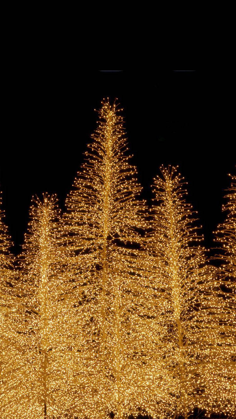 Christmas Lights iPhone, golden string lights, glowing tree shapes, HD Phone Wallpaper
