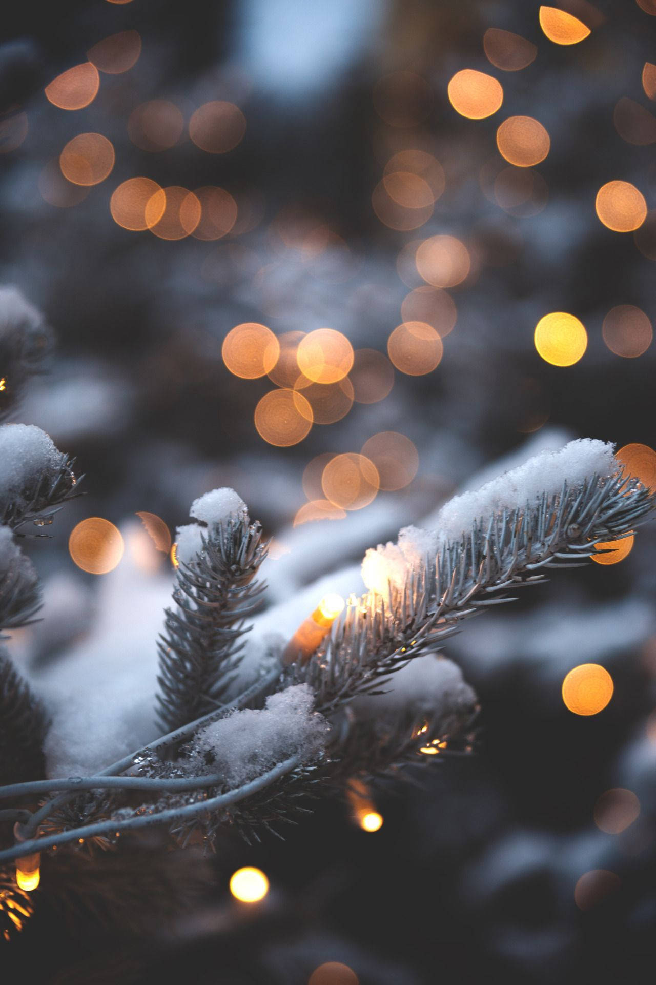 Christmas Lights, iPhone, snow dusted pine branches, Full HD Phone Wallpaper