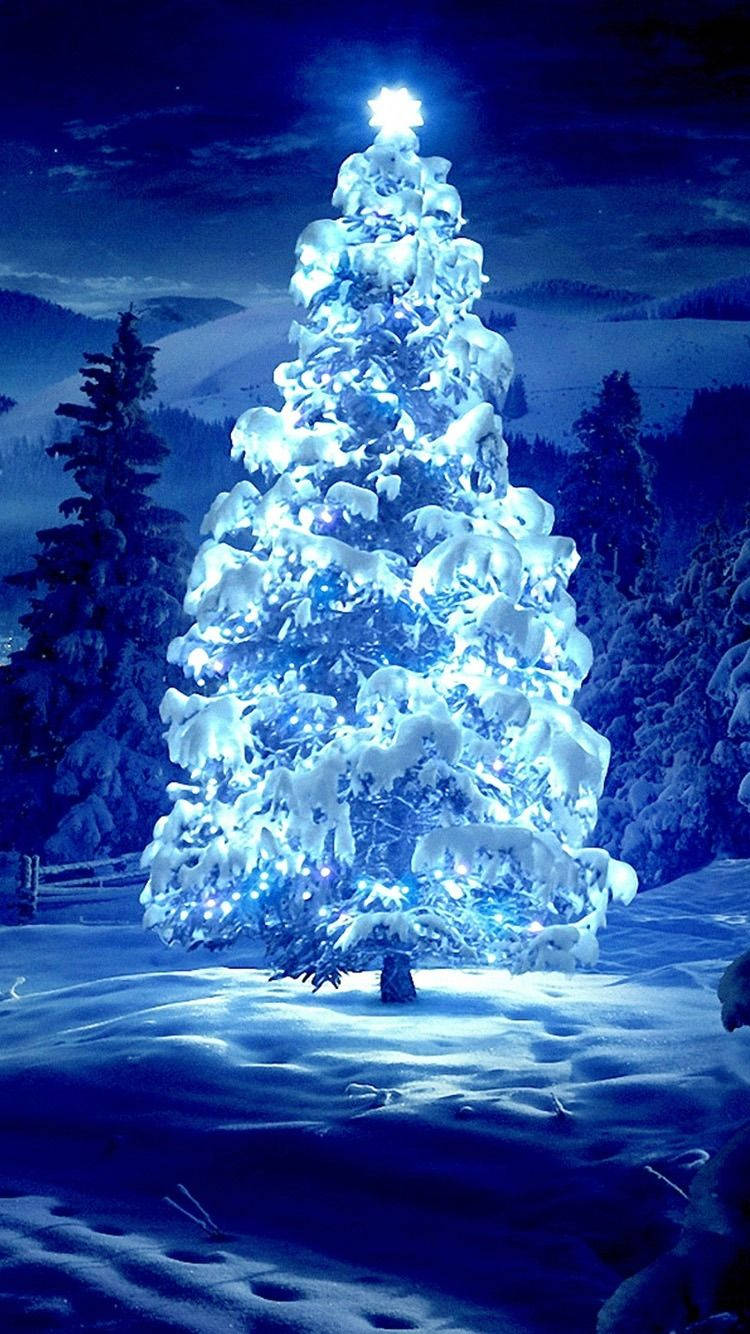 Christmas tree, bright blue lights, starry night sky, HD Phone Wallpaper