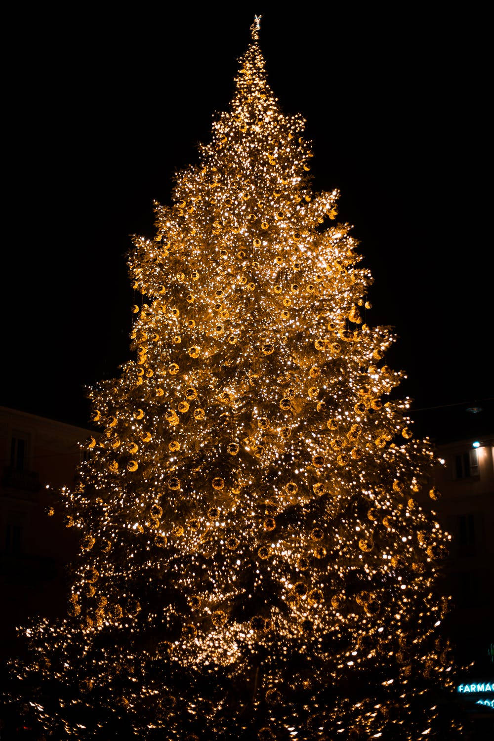 Gold Tree Christmas iPhone, towering Christmas tree, golden lights, HD Phone Wallpaper