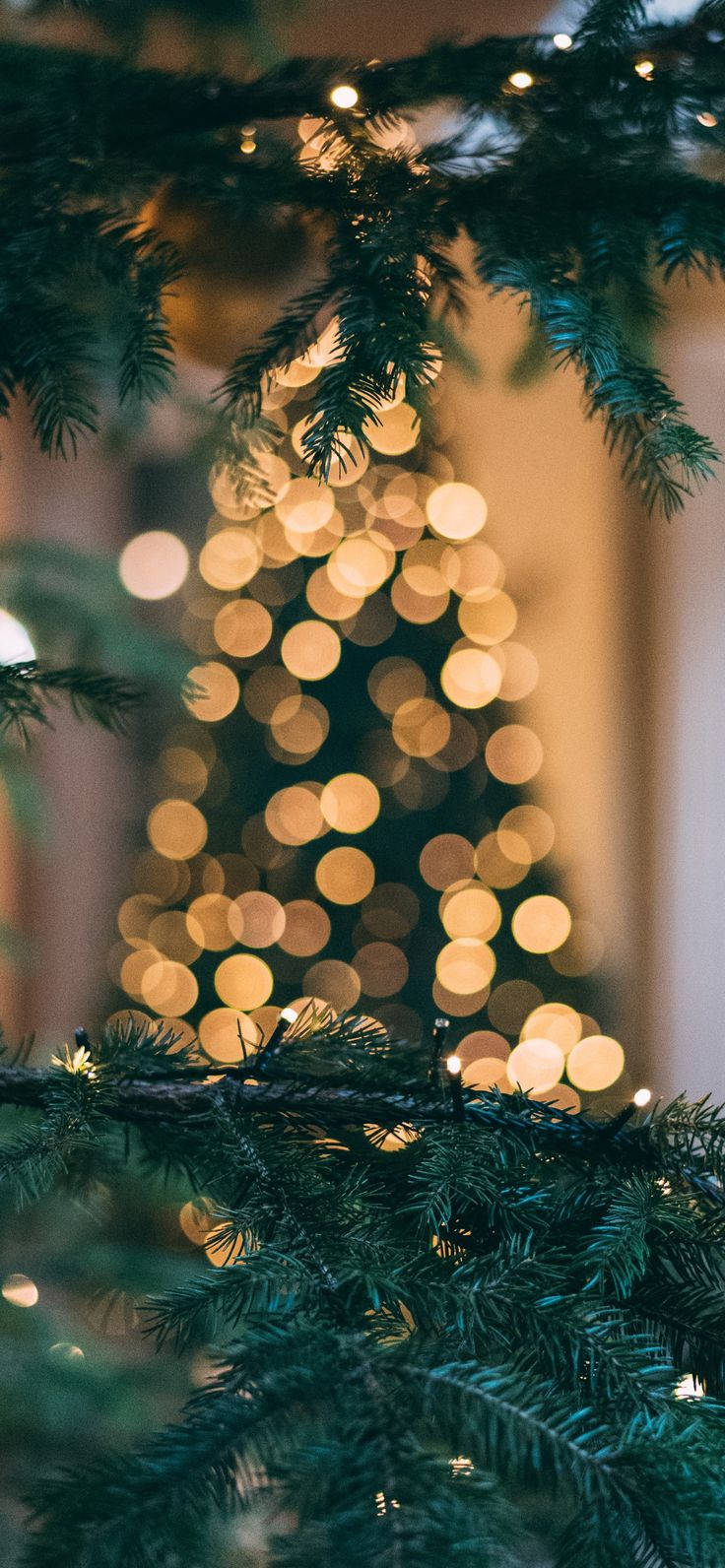 Cute Christmas iPhone Gold Lights, evergreen branches, warm golden fairy lights, HD Phone Wallpaper