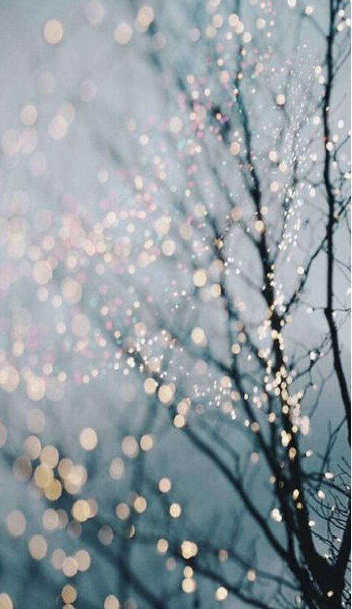 Christmas Lights iPhone, silhouetted tree branches, soft blue sky, SD Phone Wallpaper