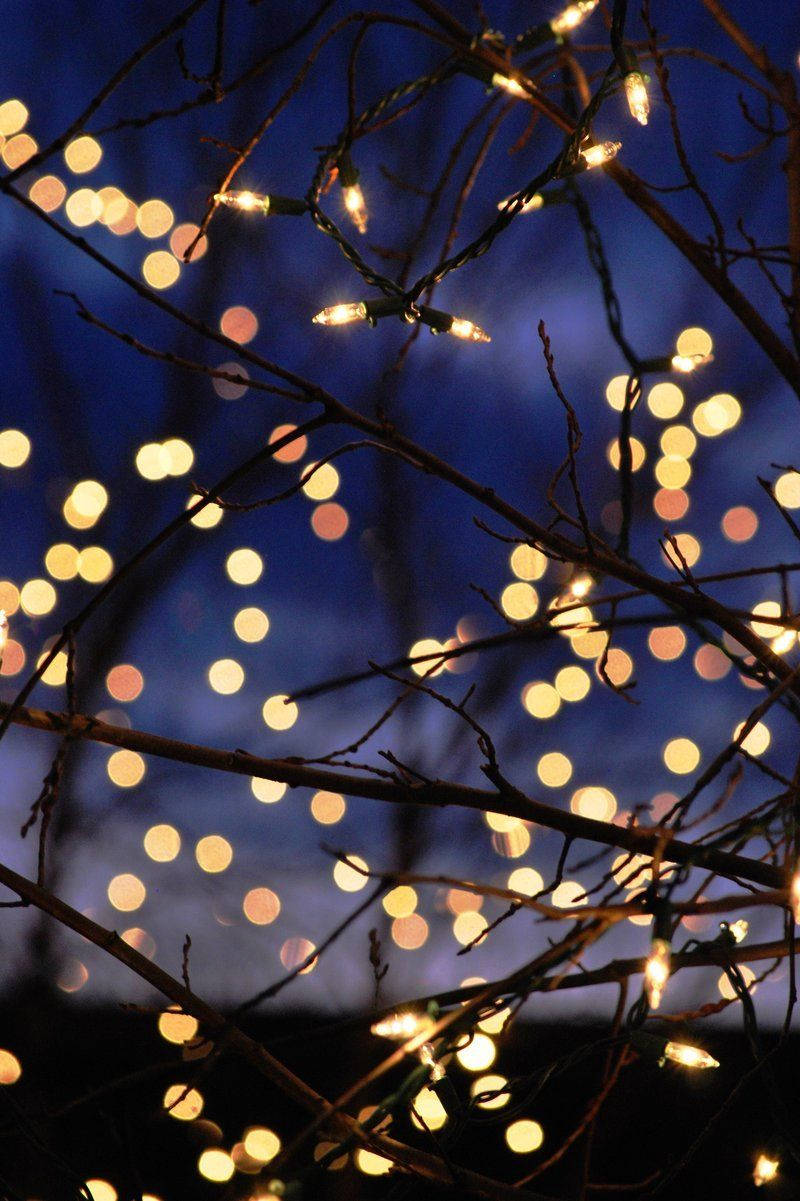 Christmas Lights iPhone, twinkling string lights, dark bare branches, SD Phone Wallpaper