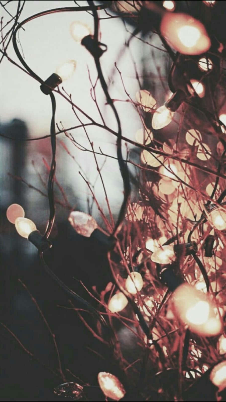 Christmas in the city, warm glowing string lights, long tree branches, HD Phone Wallpaper