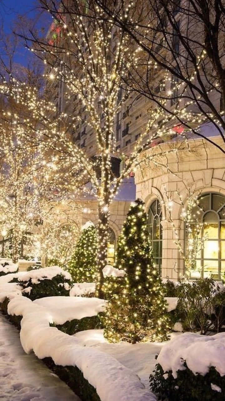 Christmas lights, tumblr cute, snow, HD Phone Wallpaper