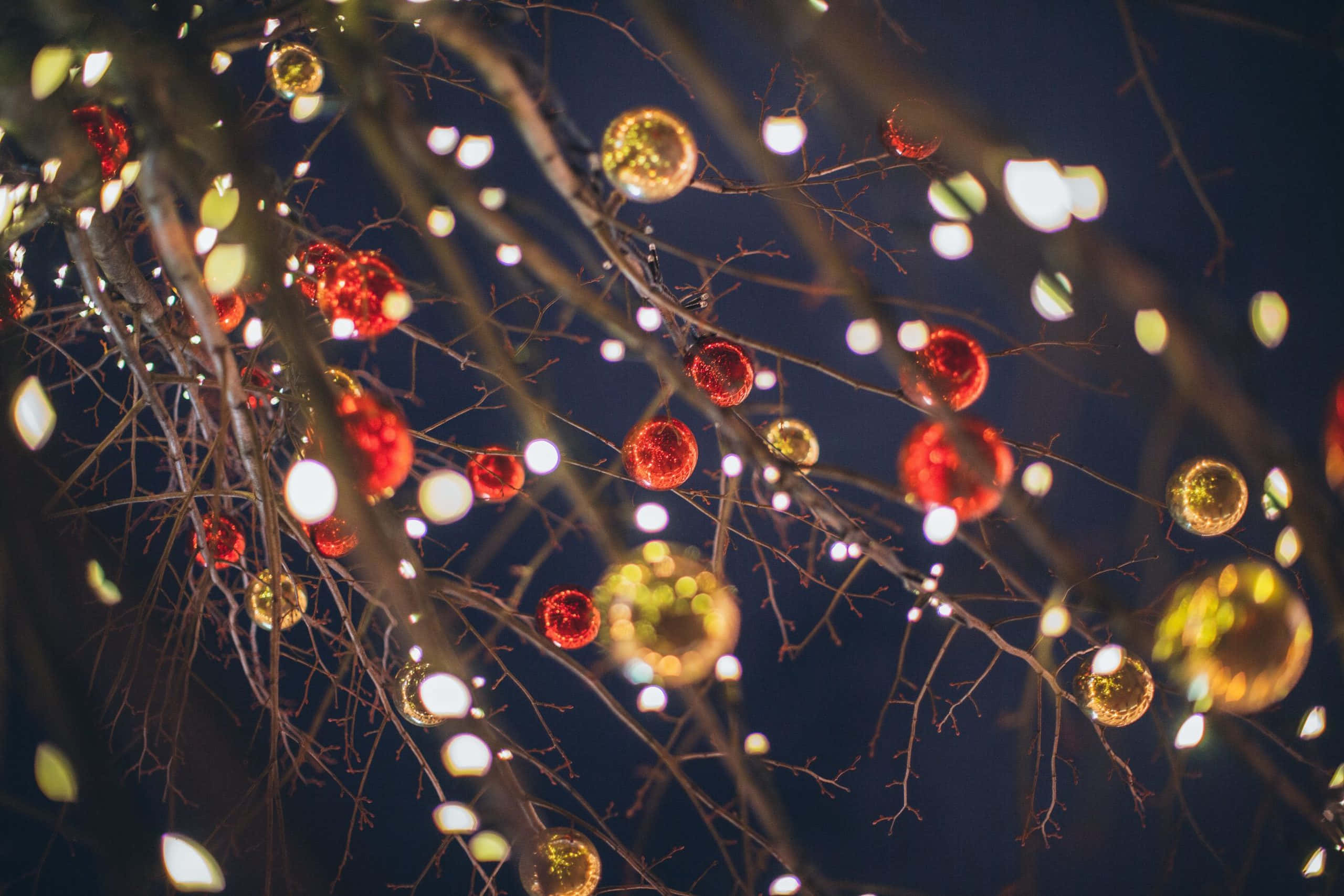 red and gold ornaments, bare tree branches, dark night sky, 2K Desktop Wallpaper