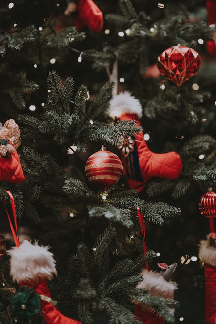 Christmas tree, red ornaments, fluffy red stockings, SD Phone Wallpaper