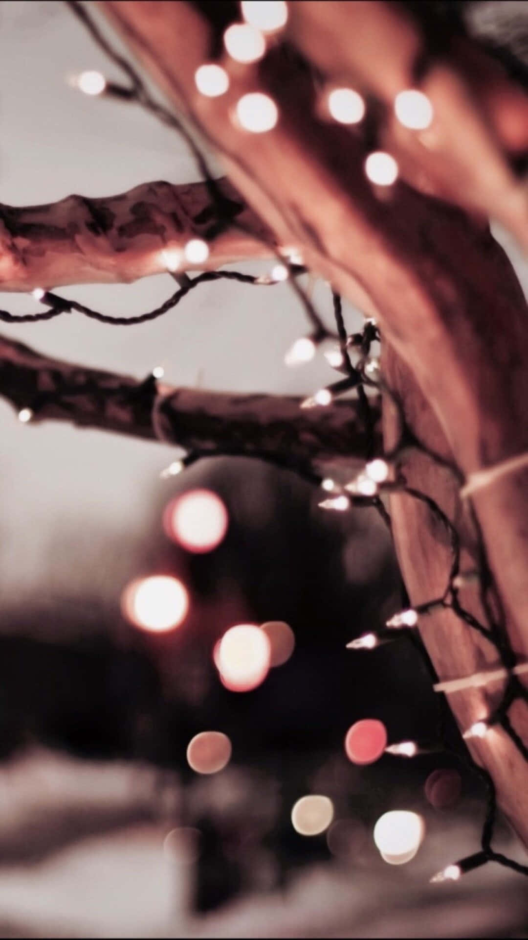 Christmas Lights, string lights, tree, Full HD Phone Wallpaper