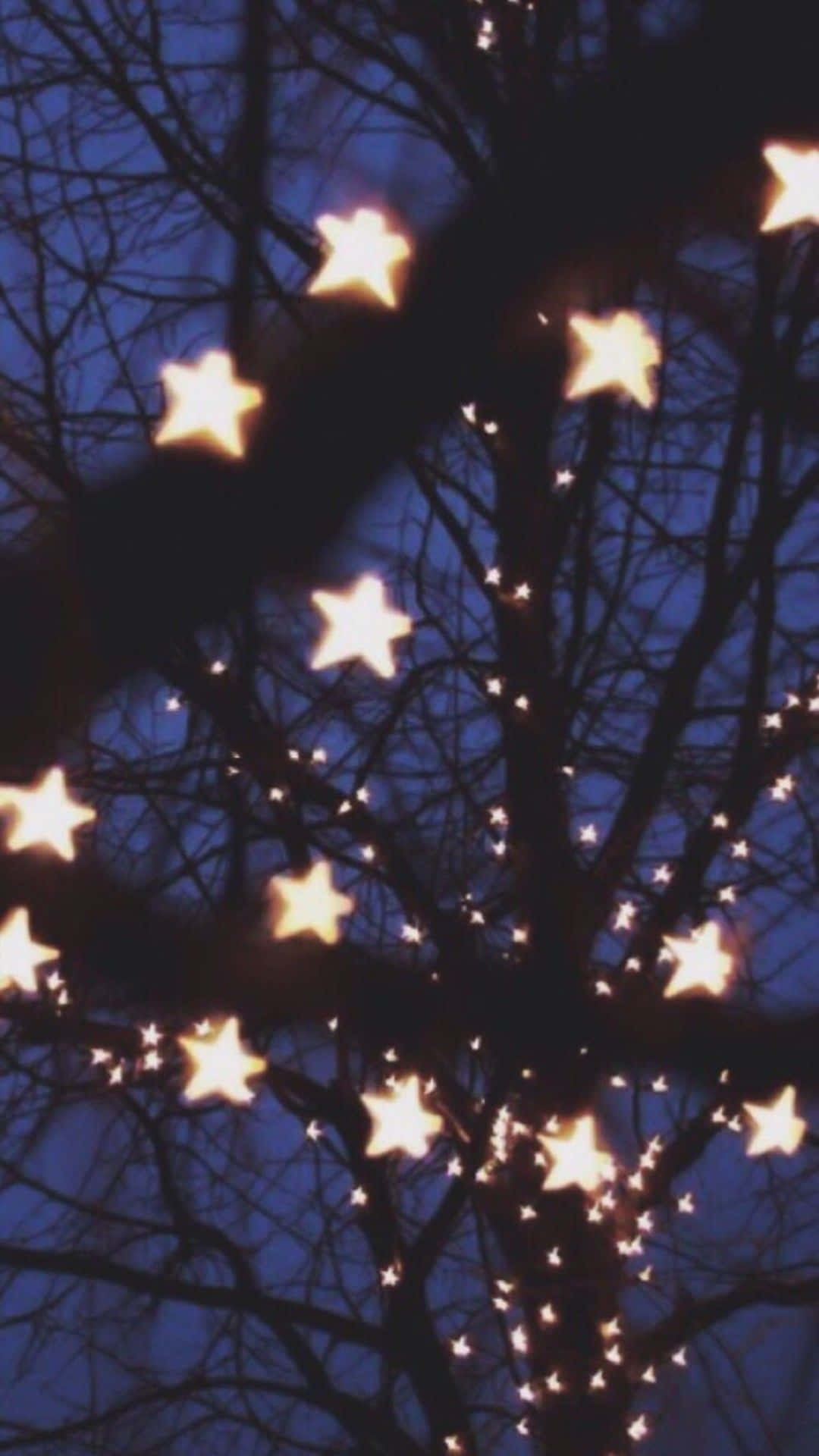star-shaped lights, deep blue twilight sky, bare tree branches, Full HD Phone Wallpaper