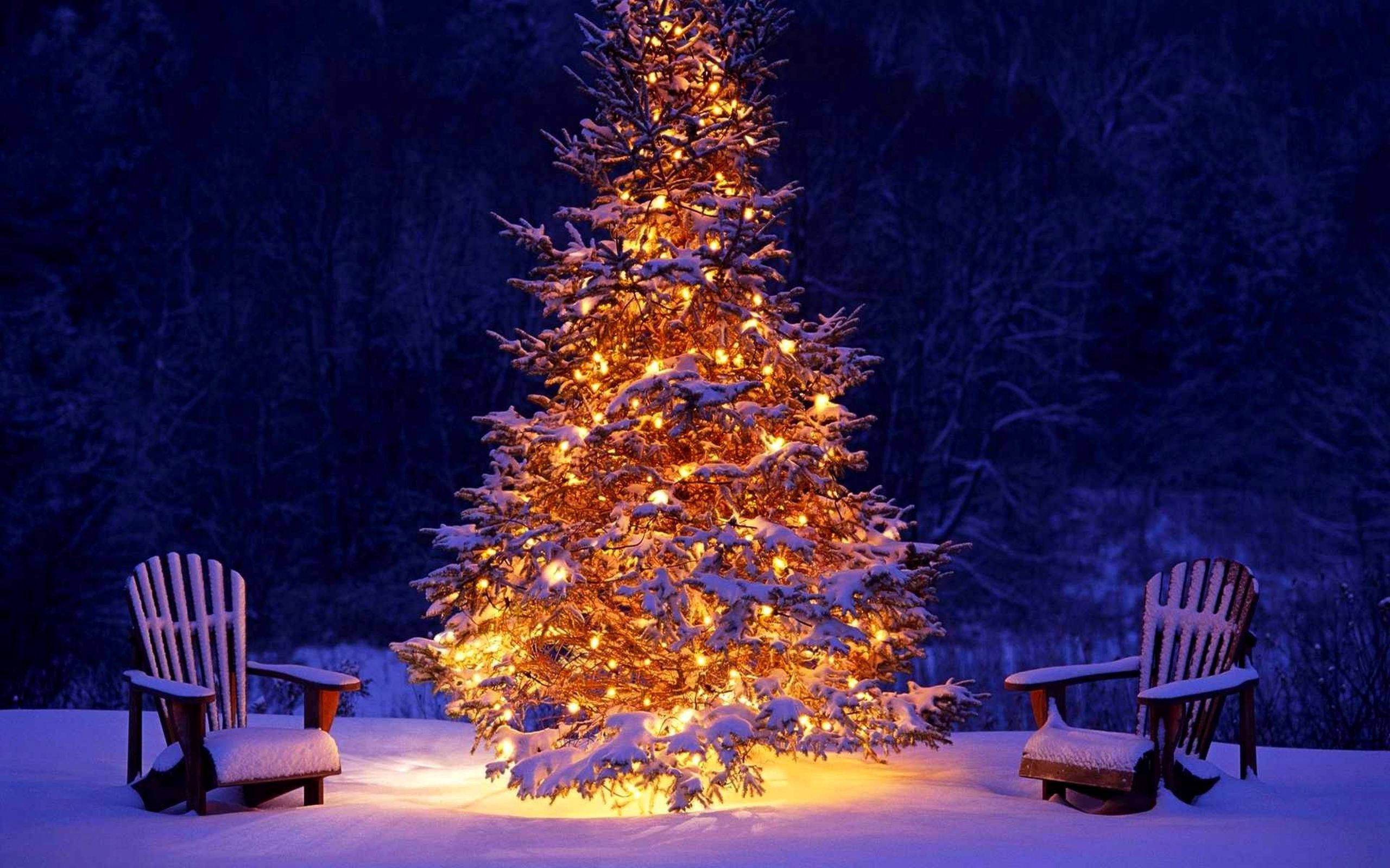 Christmas Mac, snow-covered Christmas tree, warm lights, 2K Desktop Wallpaper
