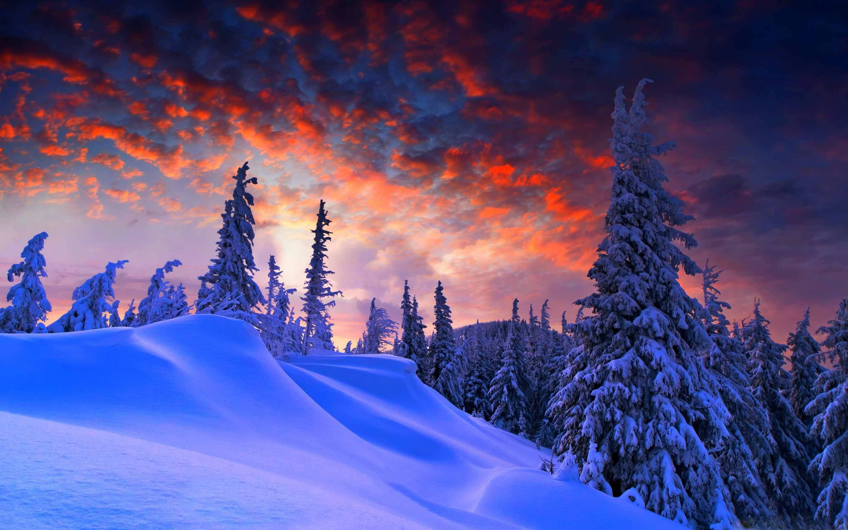 Christmas Mac, snowy pine trees, fiery orange and purple sunset sky, 2K Desktop Wallpaper