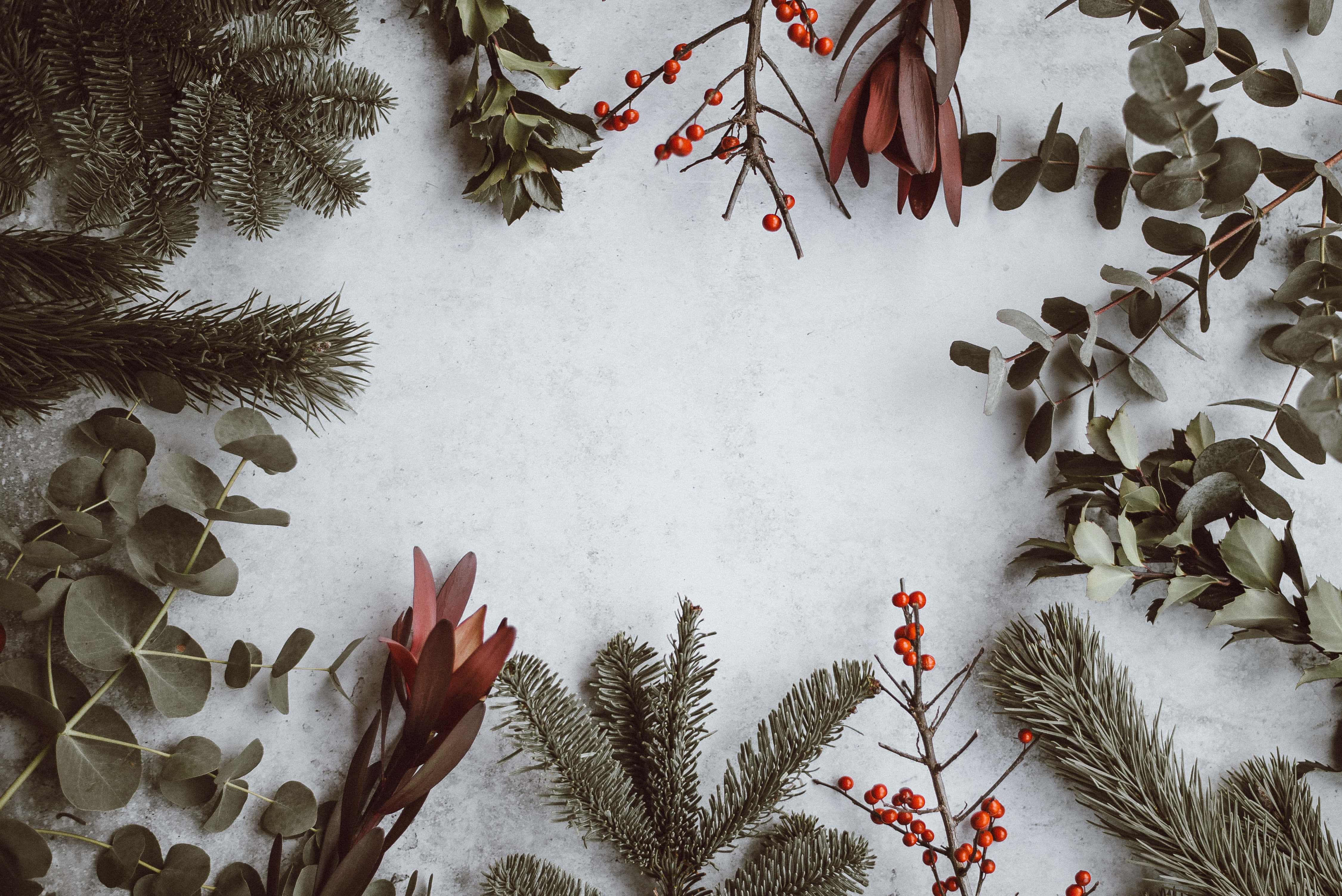 Christmas Mac, evergreen branches, eucalyptus, 4K Desktop Wallpaper