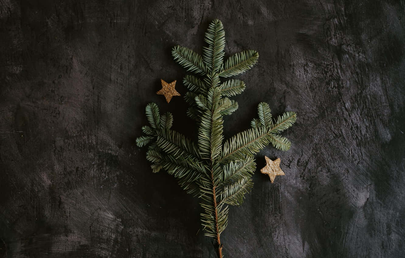 Christmas Night, fir branch, golden stars, HD Desktop Wallpaper