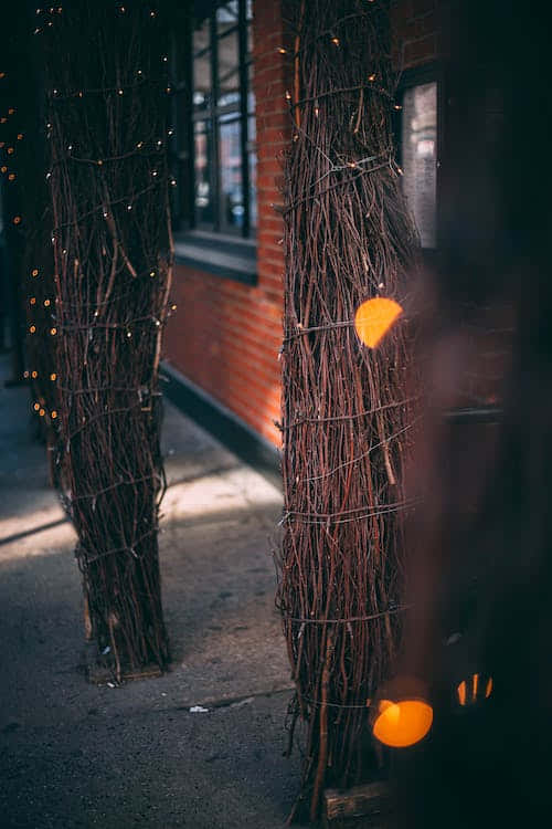 Christmas Night, twisted vine-covered pillars, warm string lights, SD Phone Wallpaper