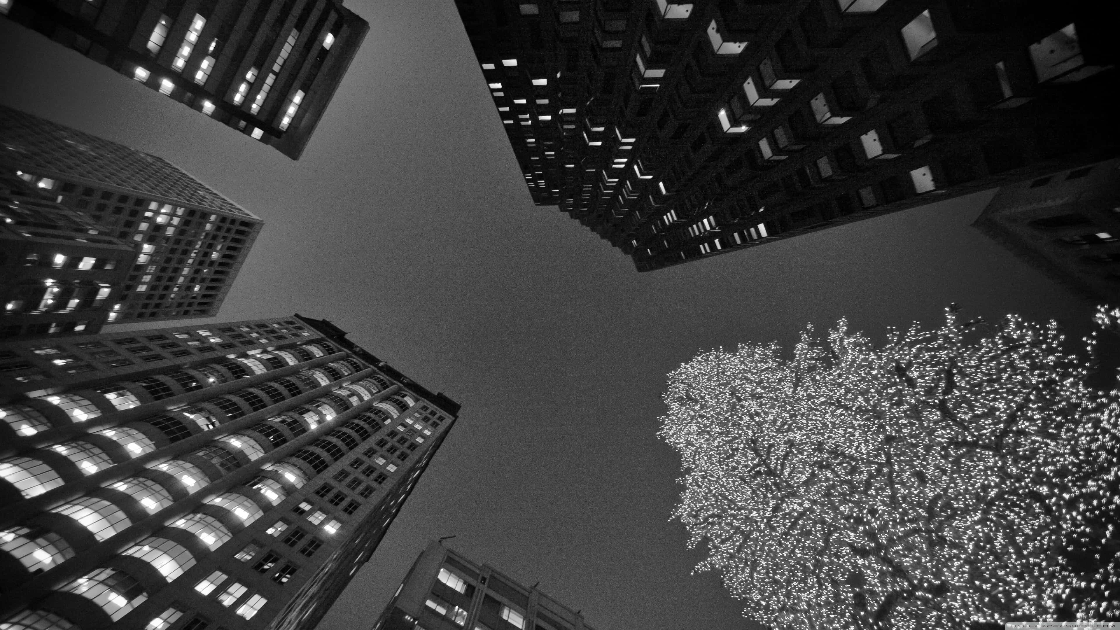 Christmas Night, black and white, low-angle shot, 4K Desktop Wallpaper