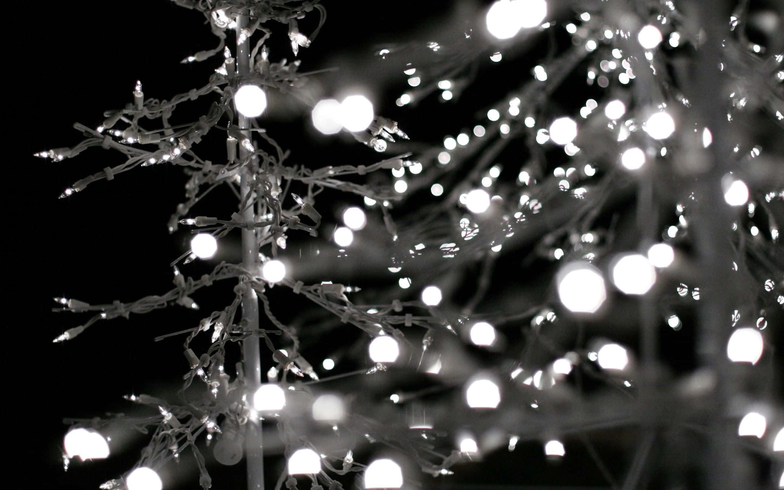 Christmas Night, glowing string lights, bare branches, 2K Desktop Wallpaper