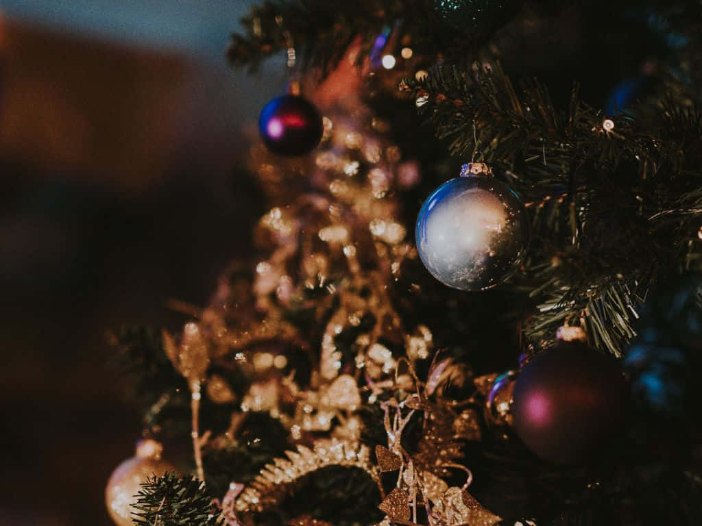 Christmas tree, shimmering gold garlands, reflective purple blue ornaments, SD Desktop Wallpaper